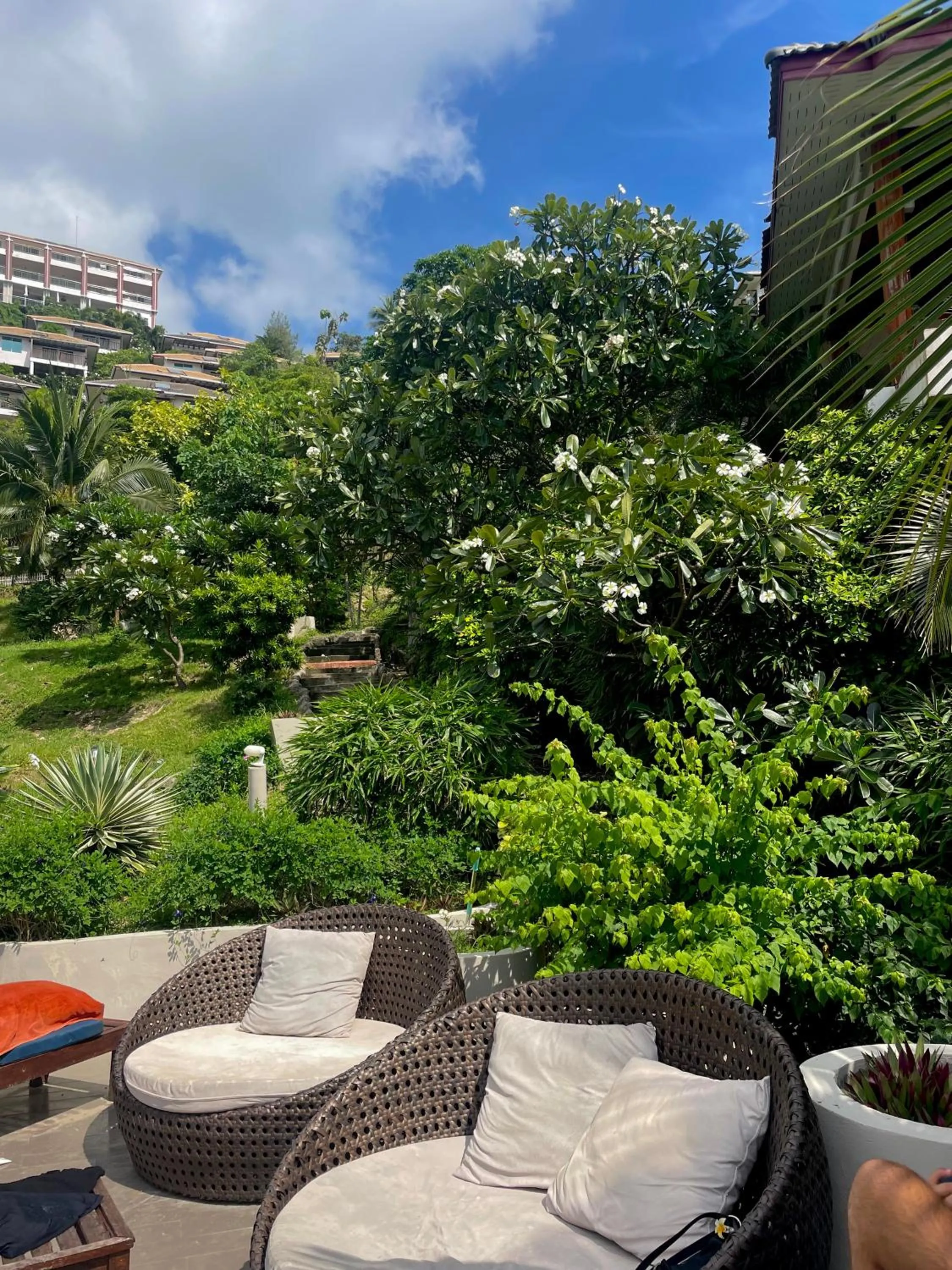 Garden in Pinnacle Koh Tao Resort