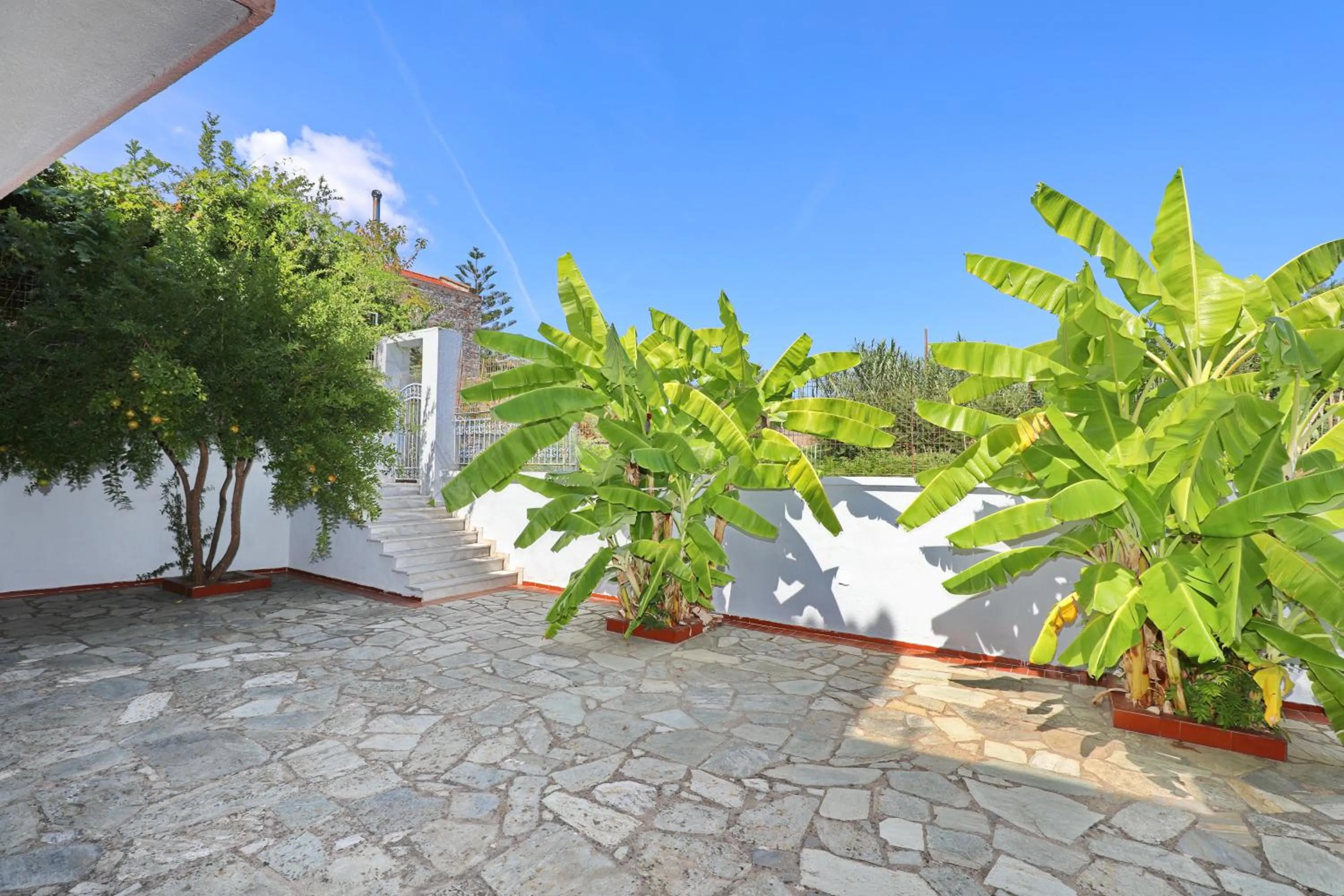 Garden in Dolphin Hotel