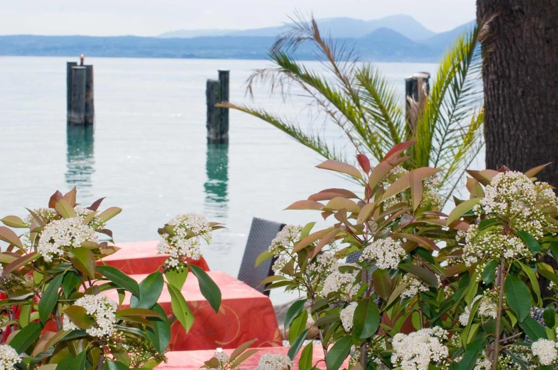 Lake view in Hotel Lido