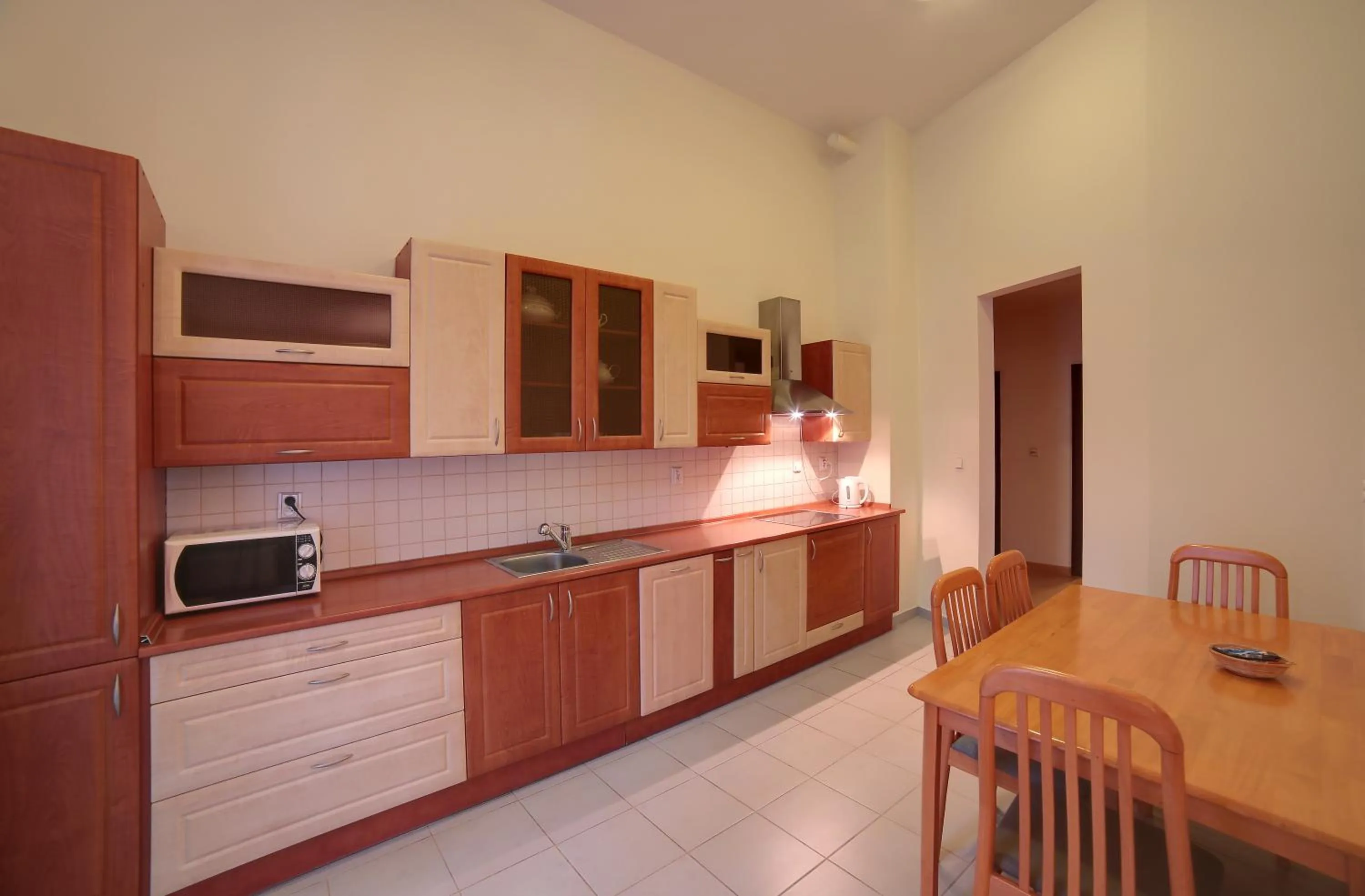 Kitchen or kitchenette in Slunecni Lazne Apartments