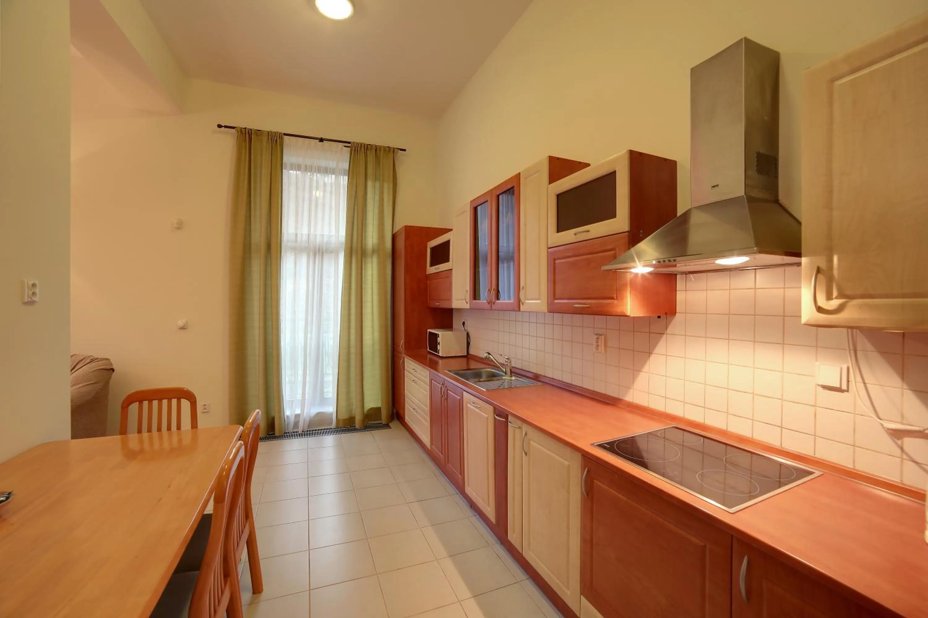 Kitchen or kitchenette in Slunecni Lazne Apartments