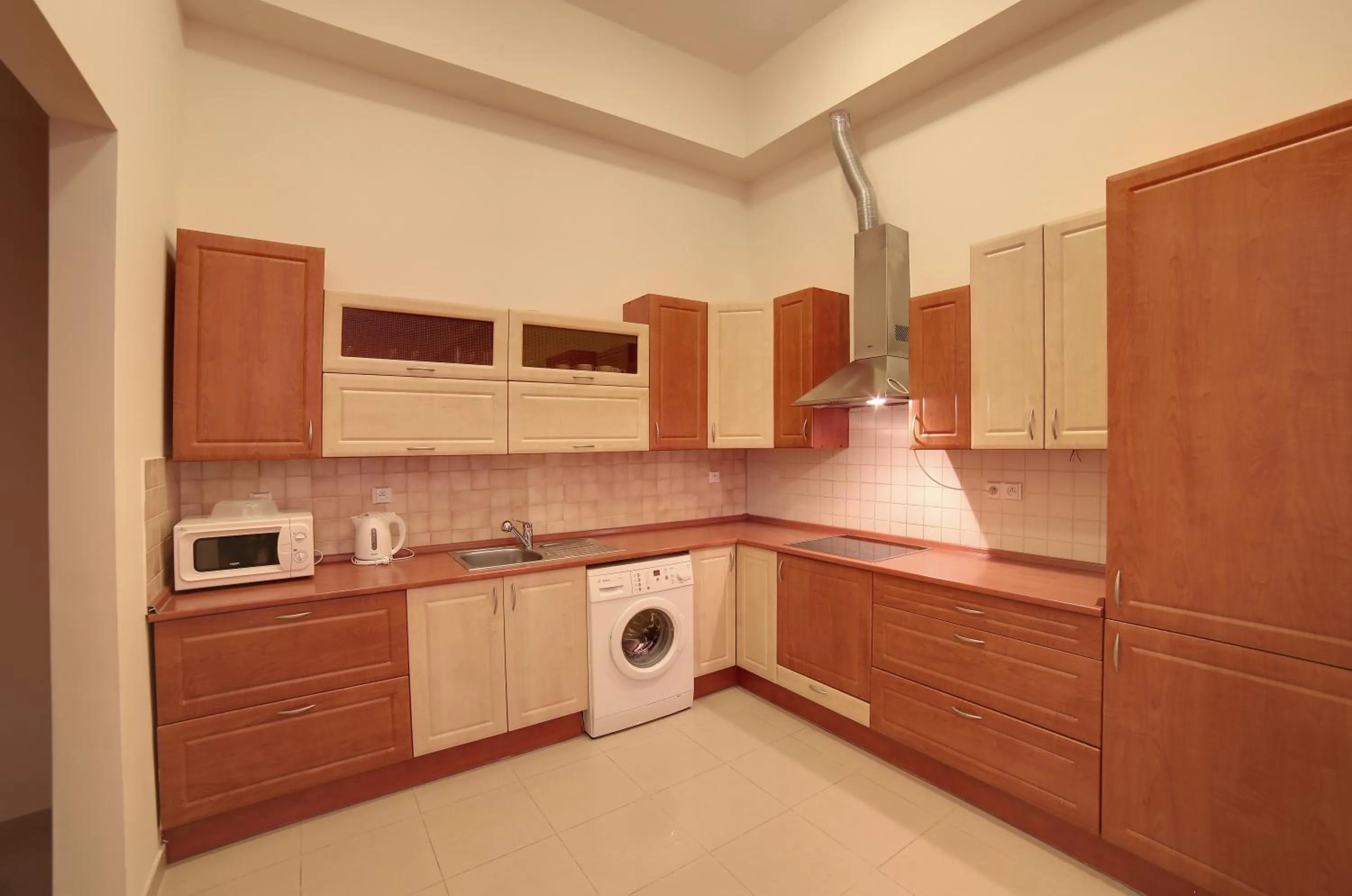 Kitchen or kitchenette in Slunecni Lazne Apartments