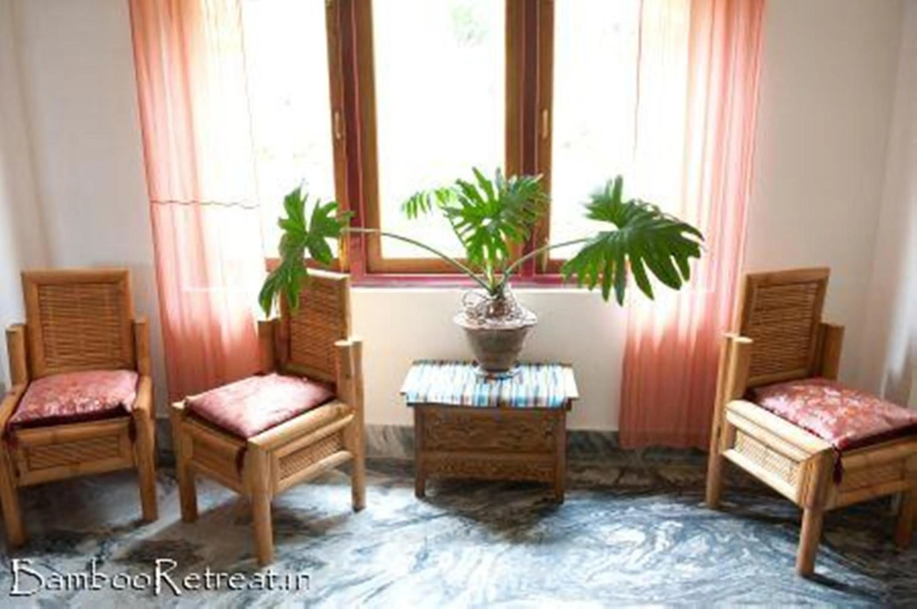 Day in Bamboo Retreat