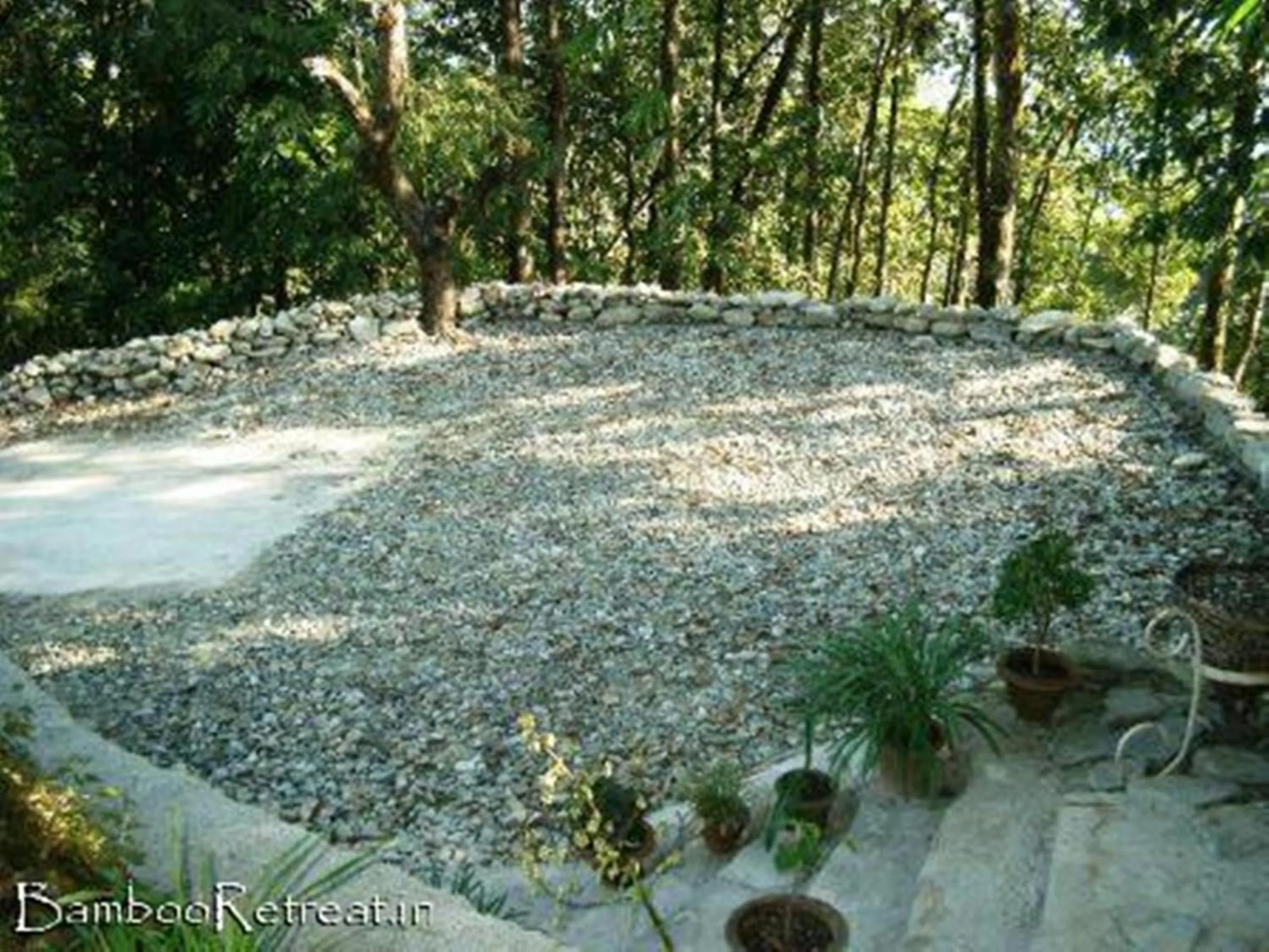 Day in Bamboo Retreat