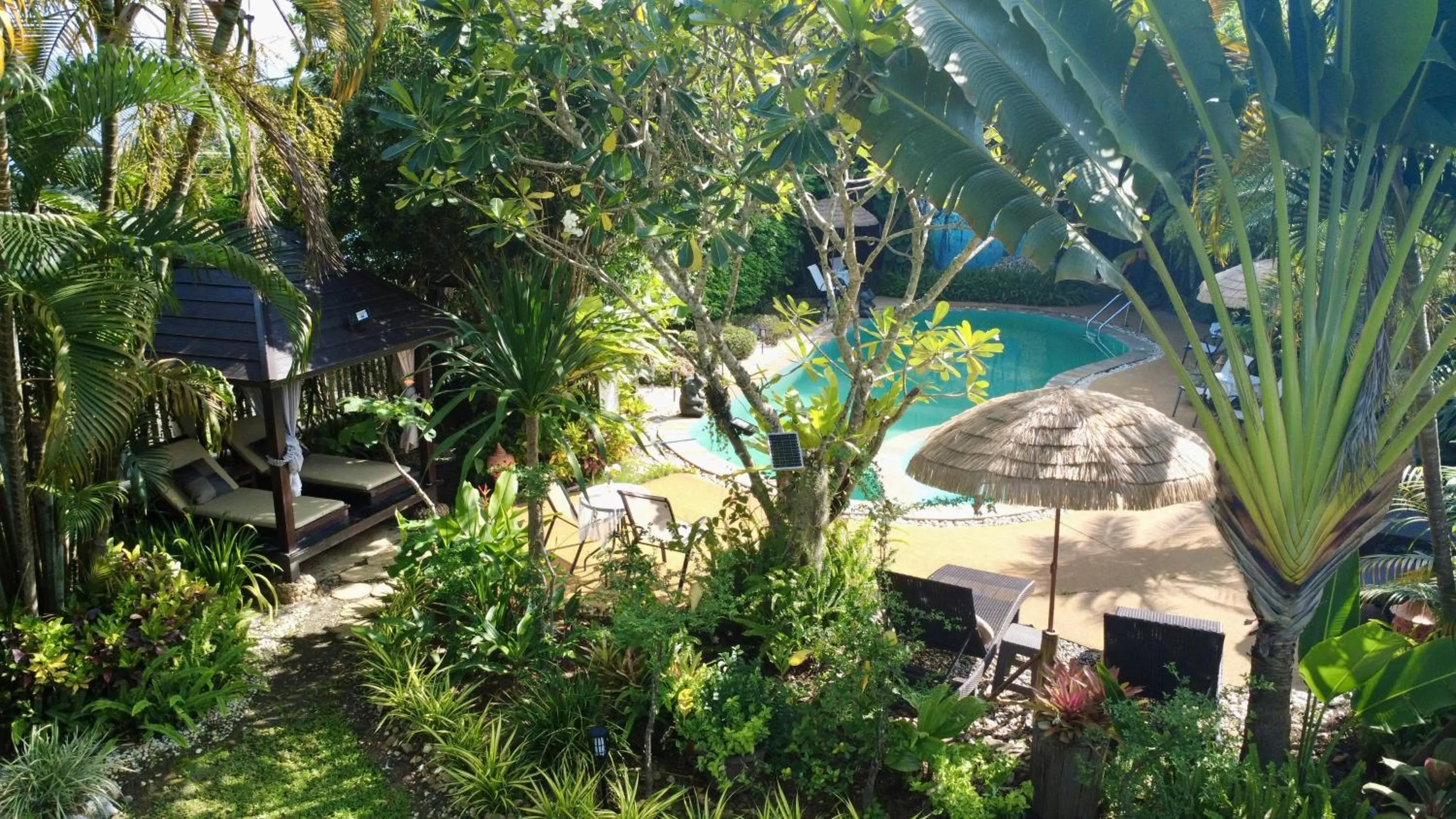 Swimming pool in Homestay Chiangrai