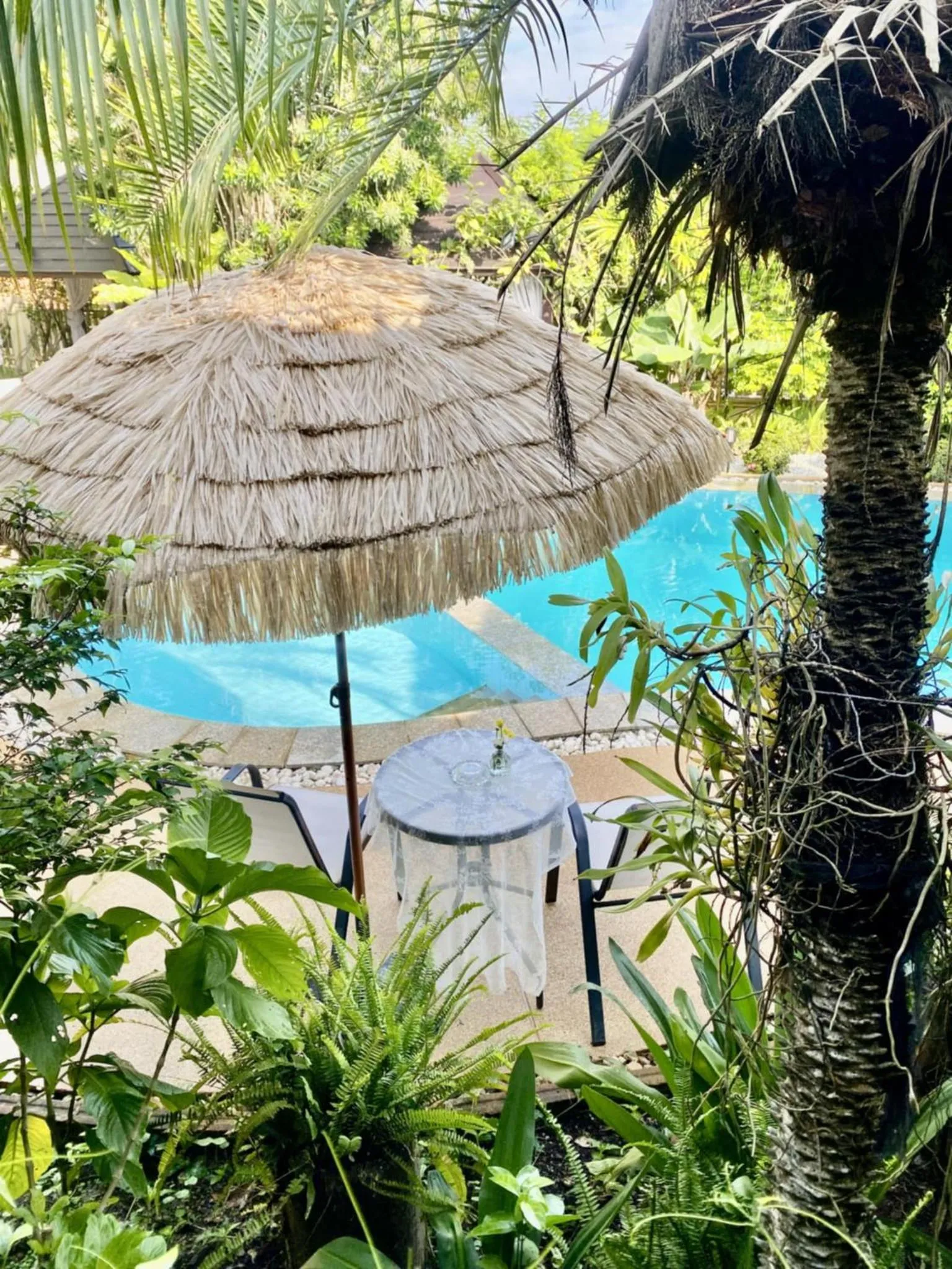 Swimming pool in Homestay Chiangrai