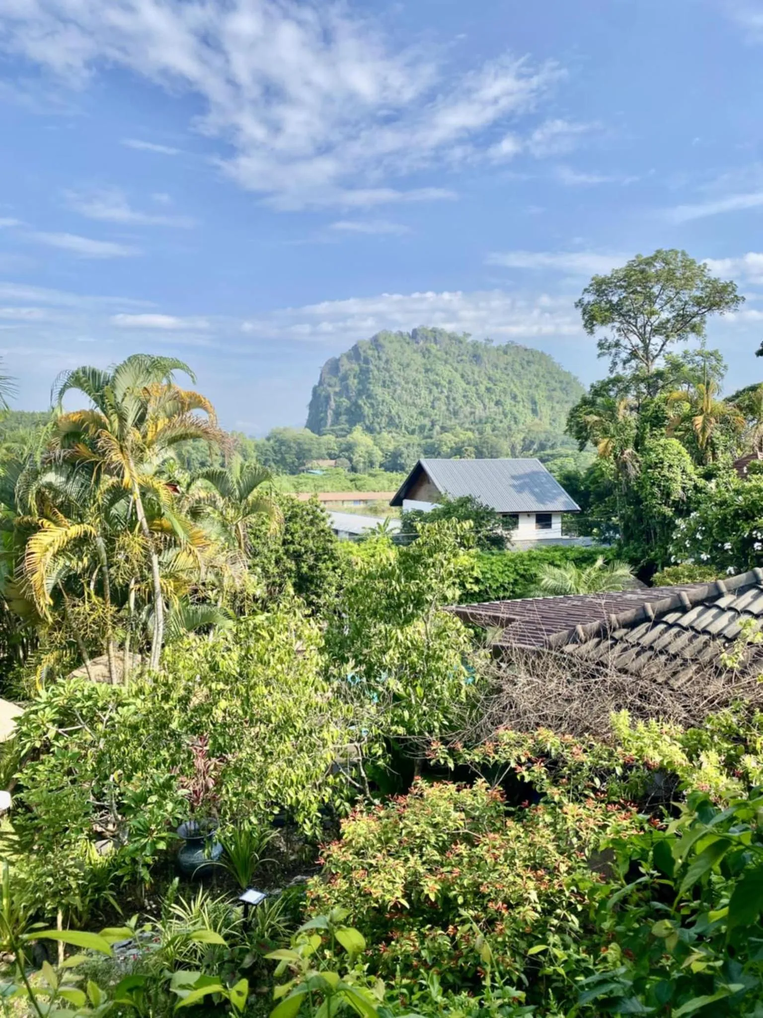 Garden view in Homestay Chiangrai