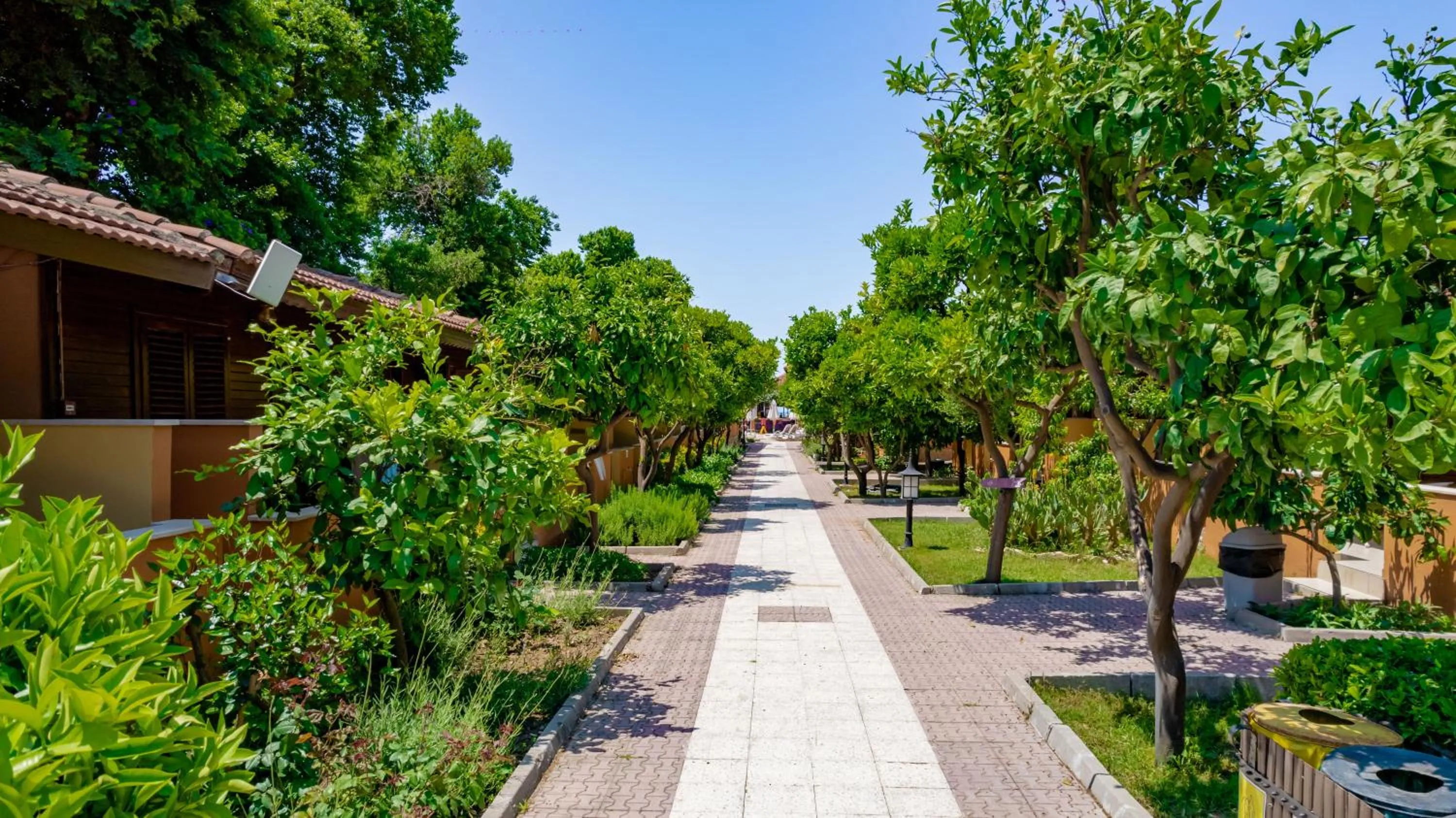 Garden view in Ozlem Garden Hotel