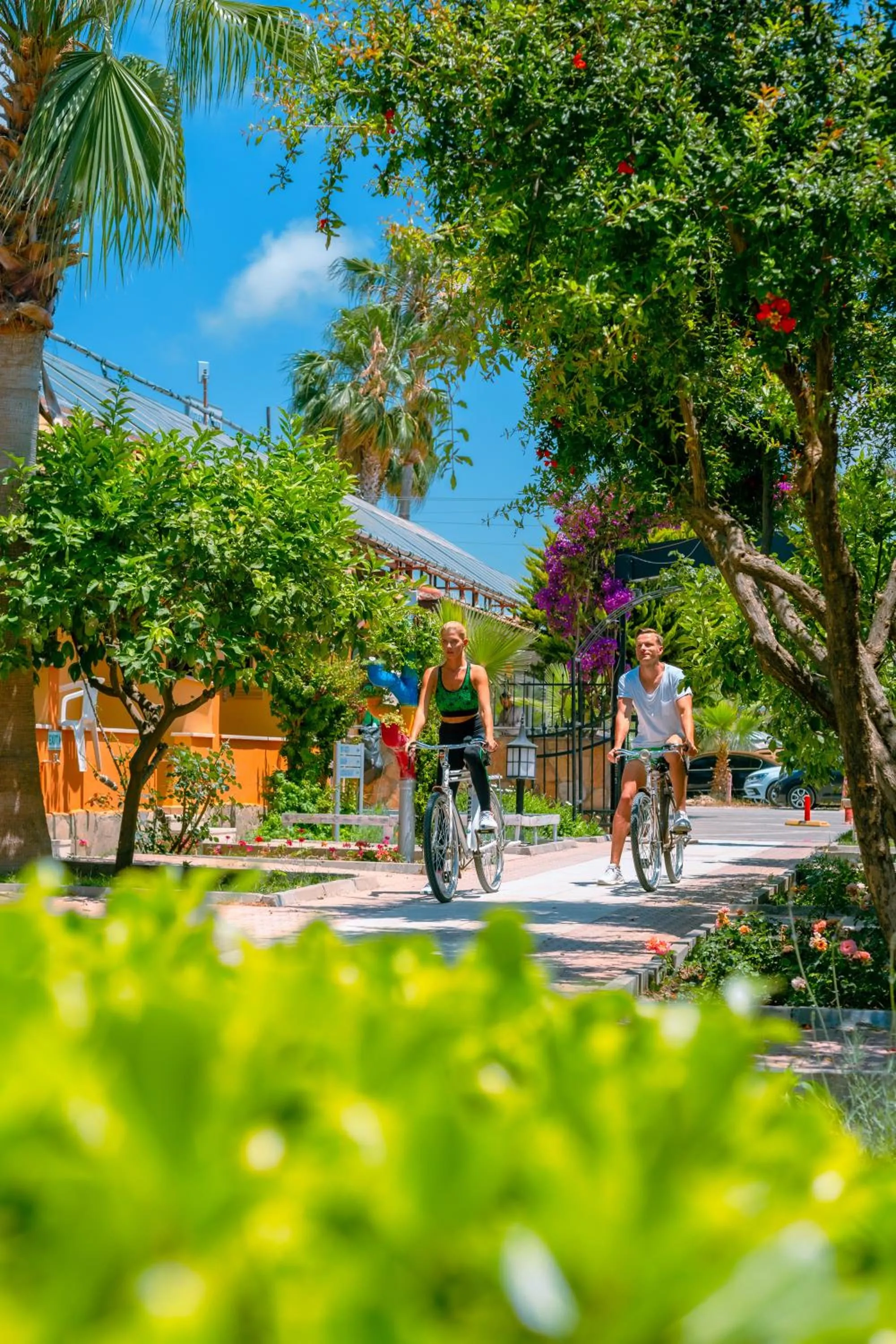 Natural landscape in Ozlem Garden Hotel