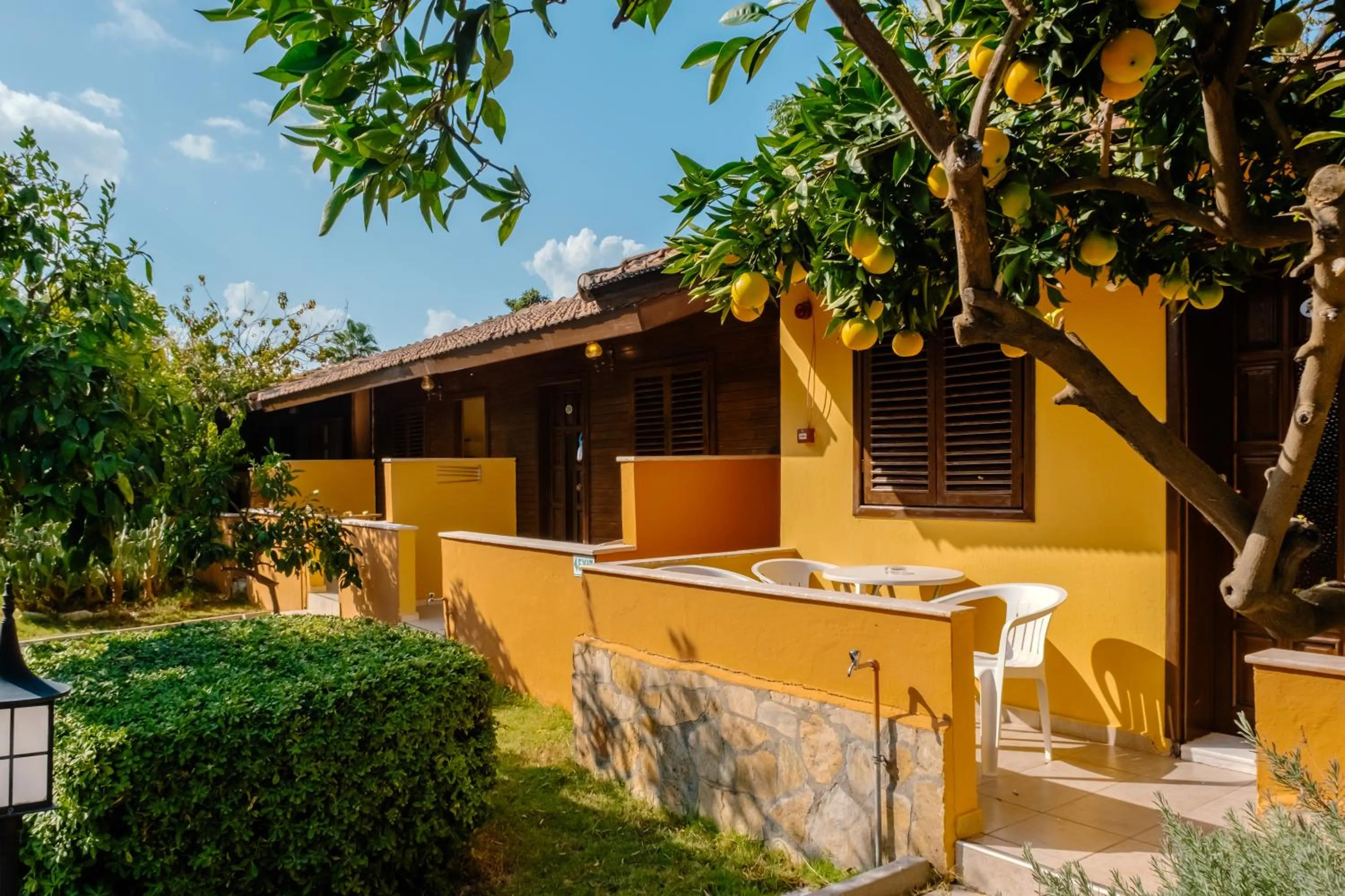 Garden in Ozlem Garden Hotel