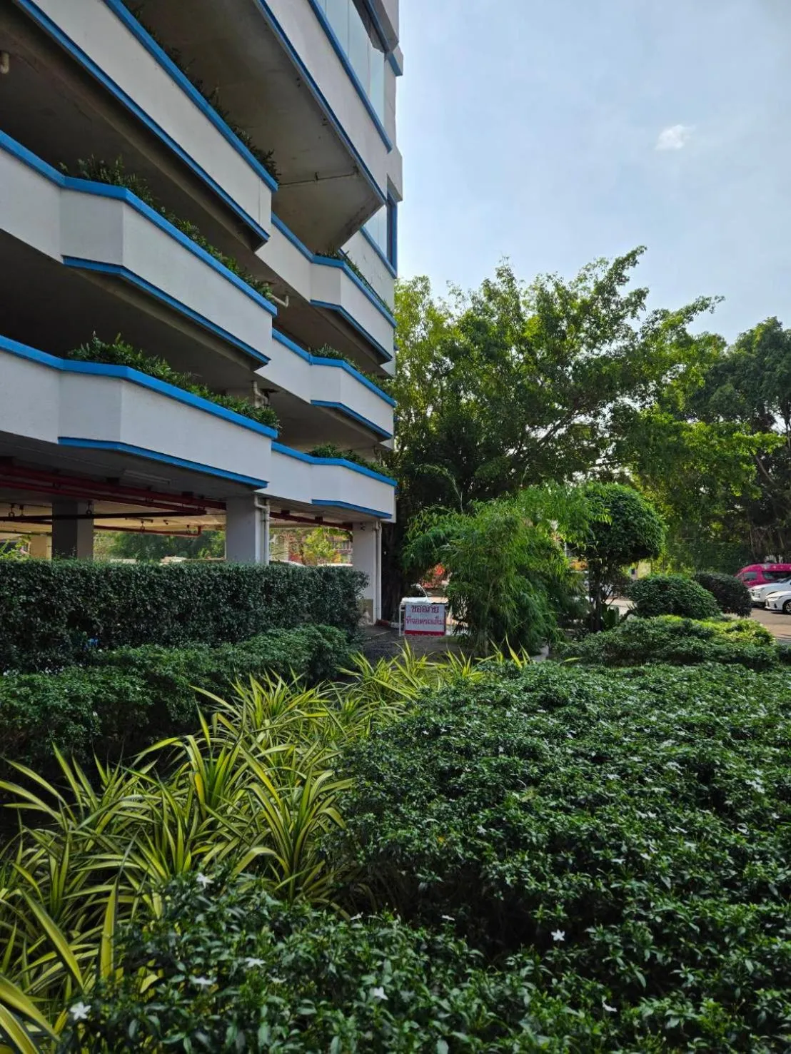 Garden in Royal Phuket City Hotel