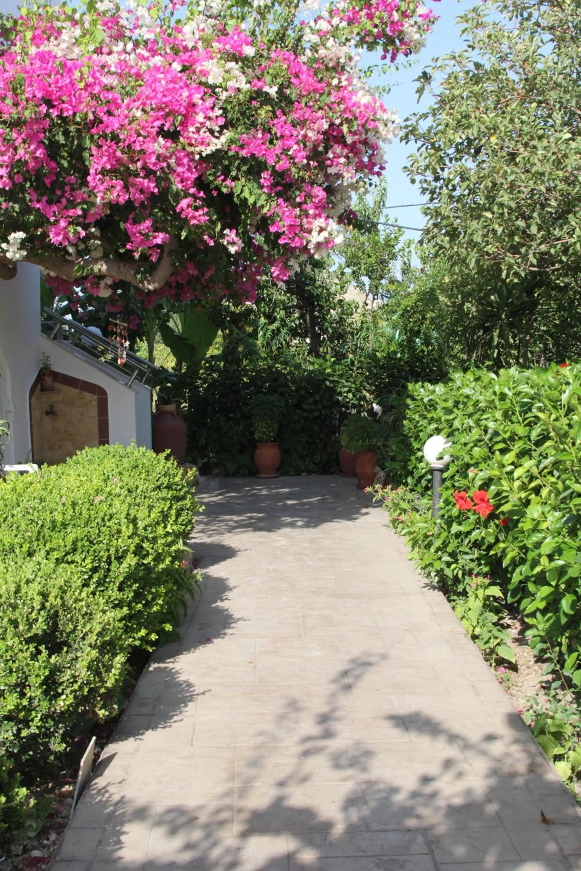 Facade/entrance in Paul's Garden Studios