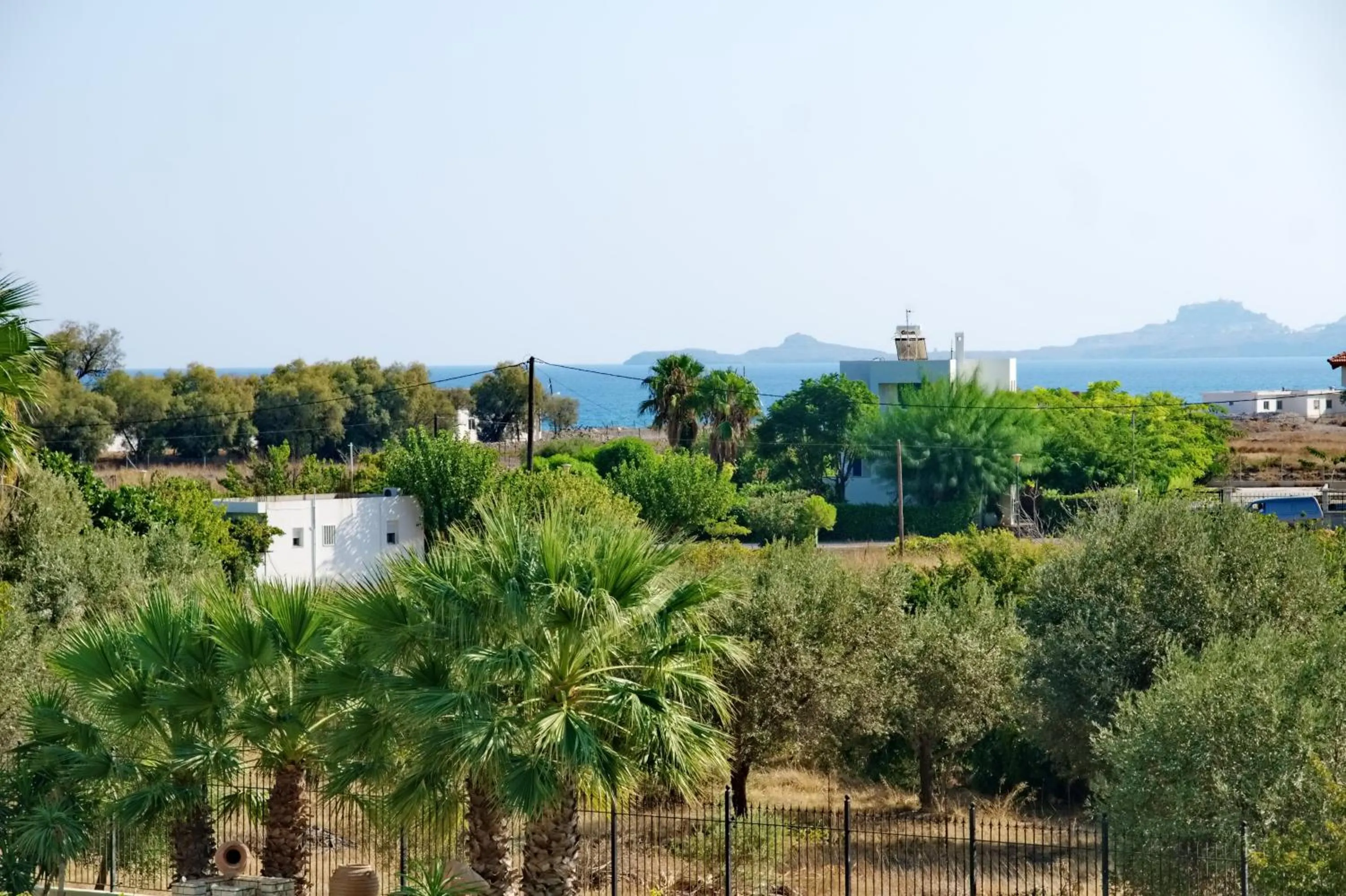 Garden in Paul's Garden Studios