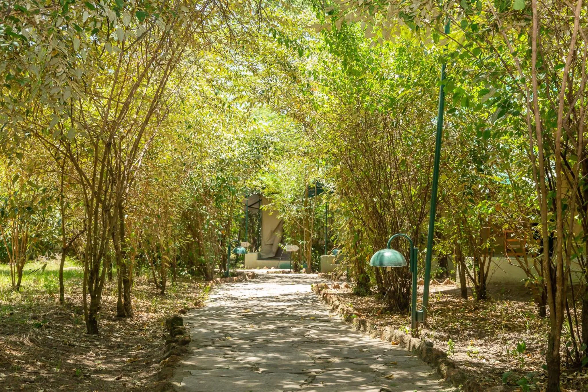 Garden in PrideInn Mara Camp & Cottages