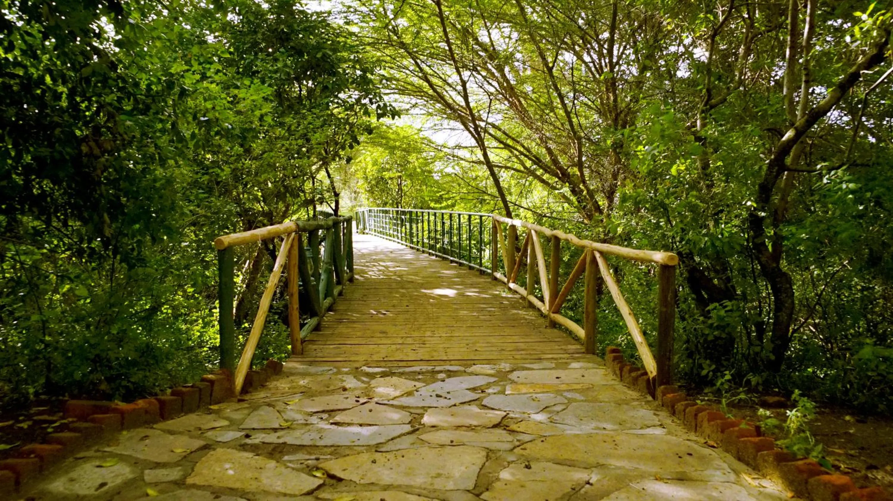 Garden in PrideInn Mara Camp & Cottages