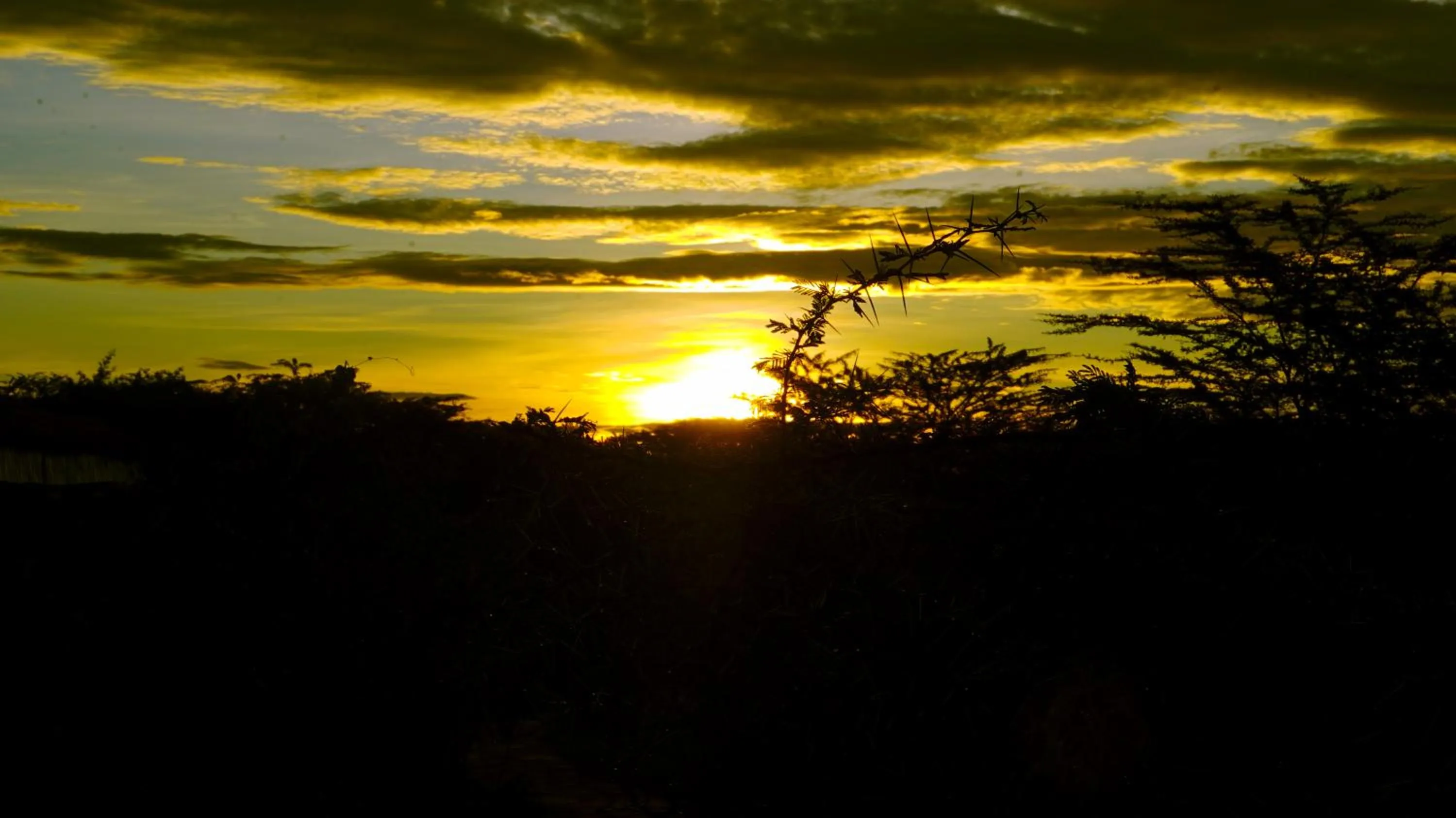 Sunset in PrideInn Mara Camp & Cottages