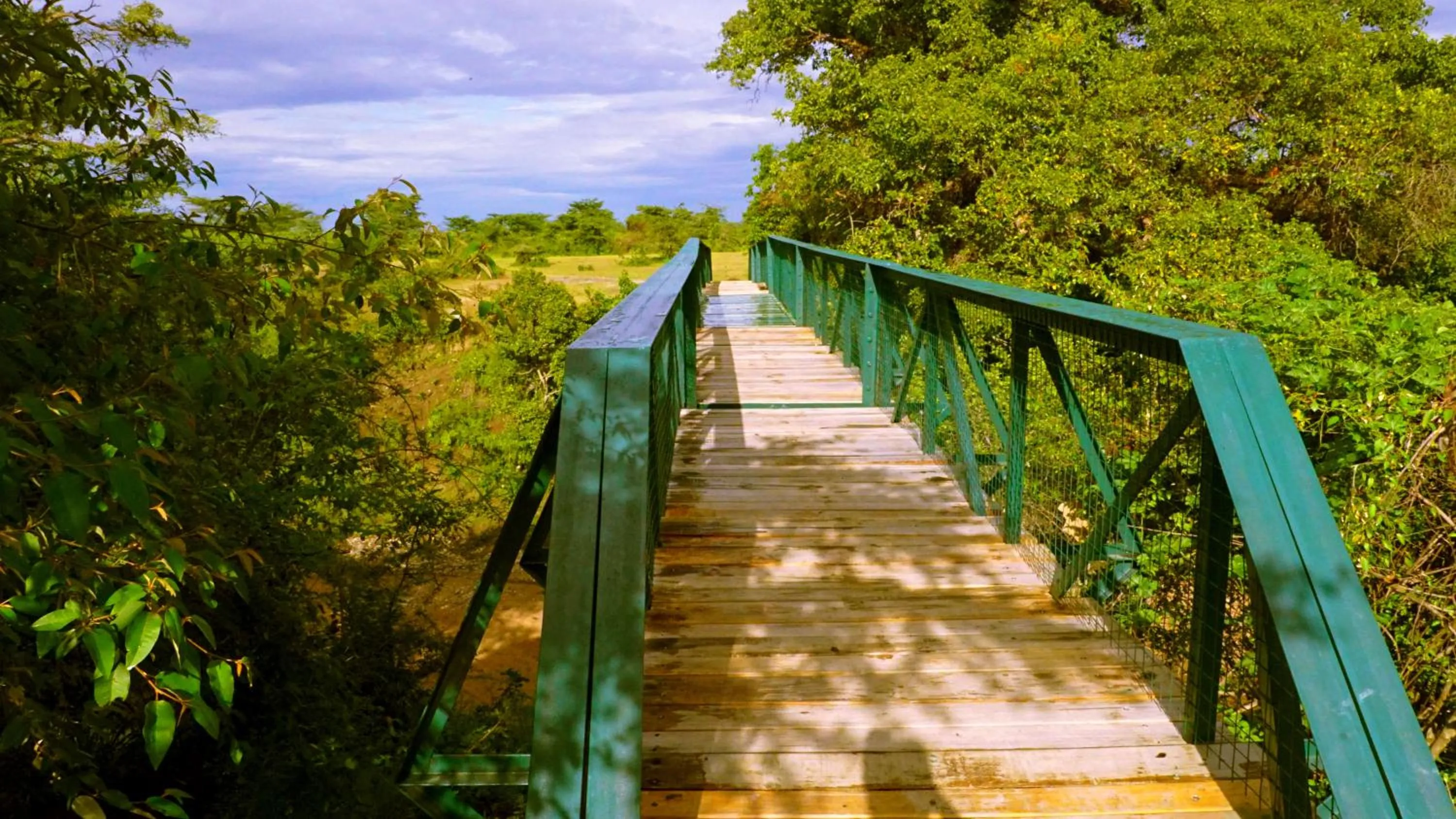 Other in PrideInn Mara Camp & Cottages