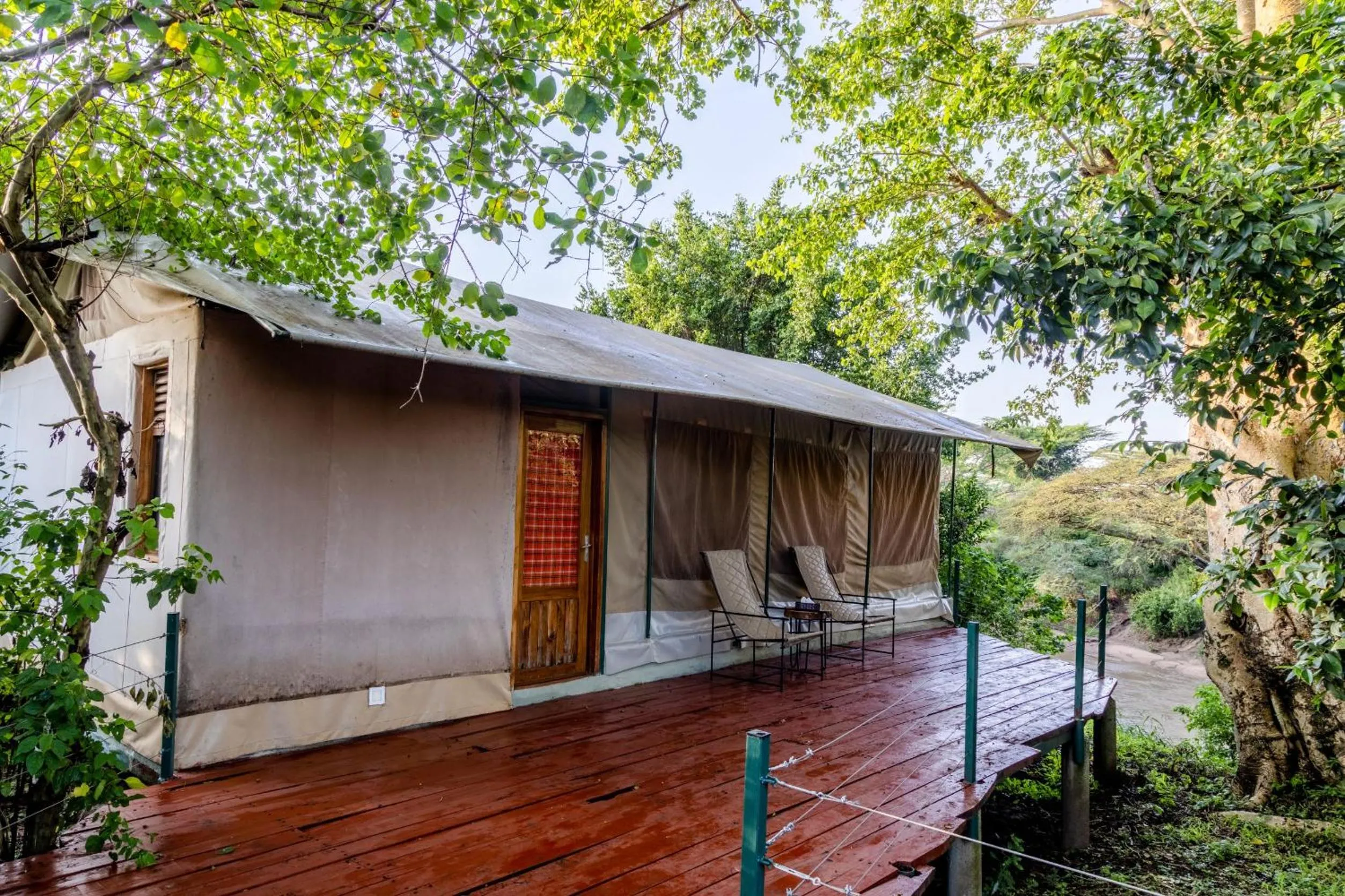 Garden in PrideInn Mara Camp & Cottages