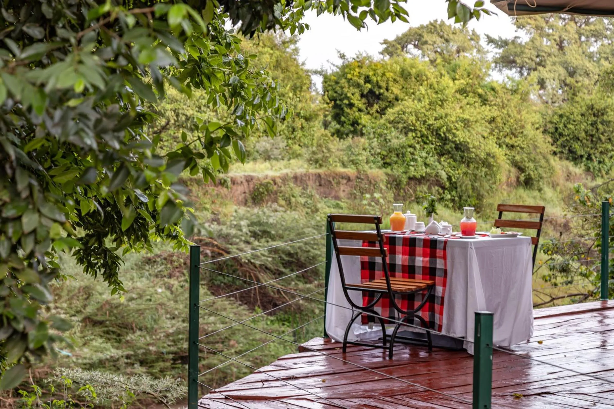 Balcony/Terrace in PrideInn Mara Camp & Cottages
