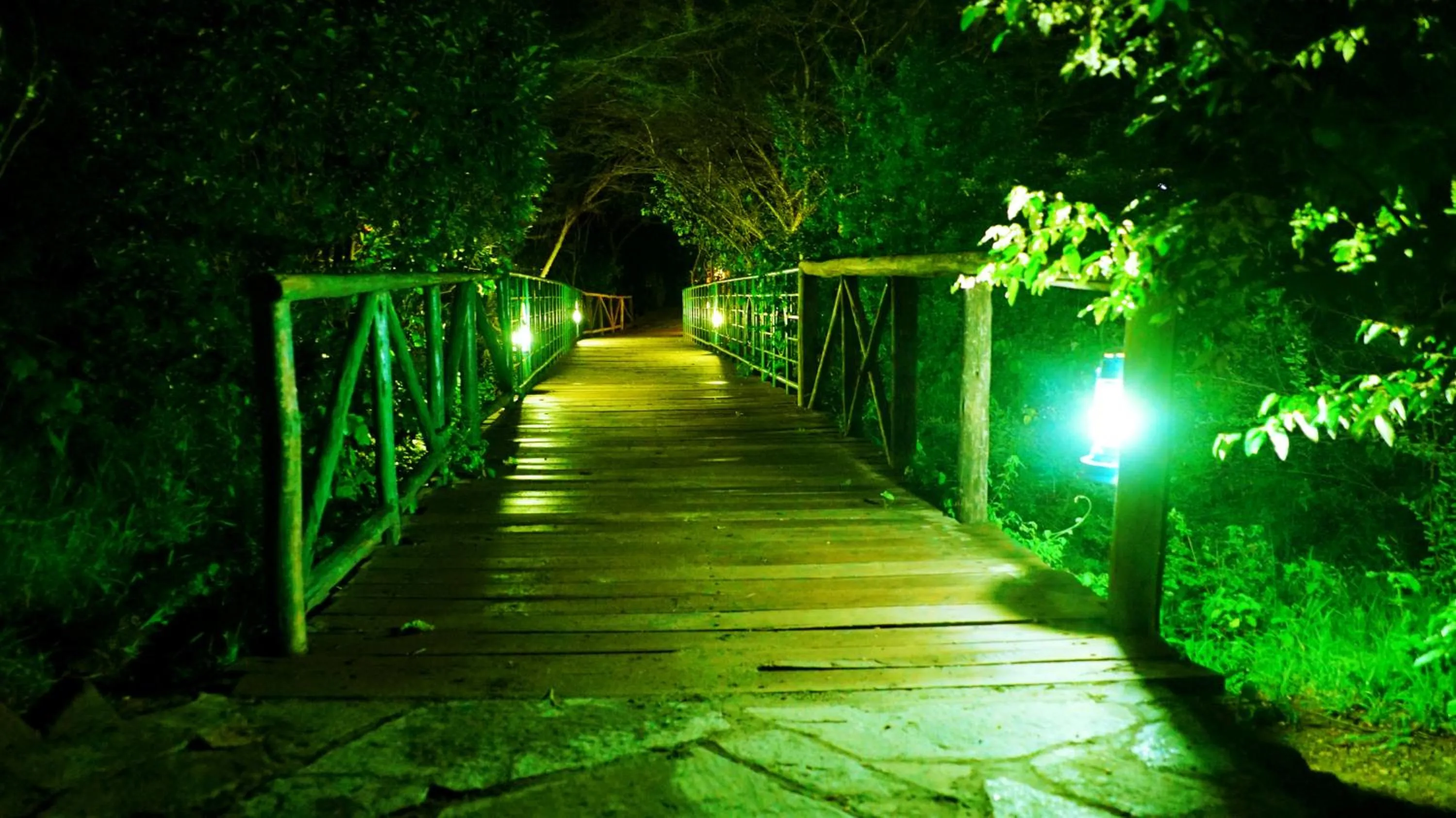 River view in PrideInn Mara Camp & Cottages