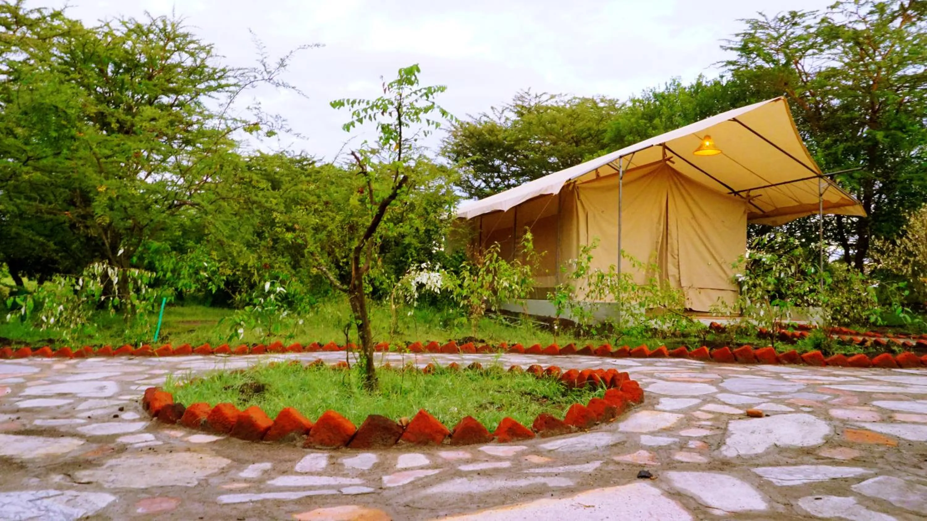 Garden in PrideInn Mara Camp & Cottages