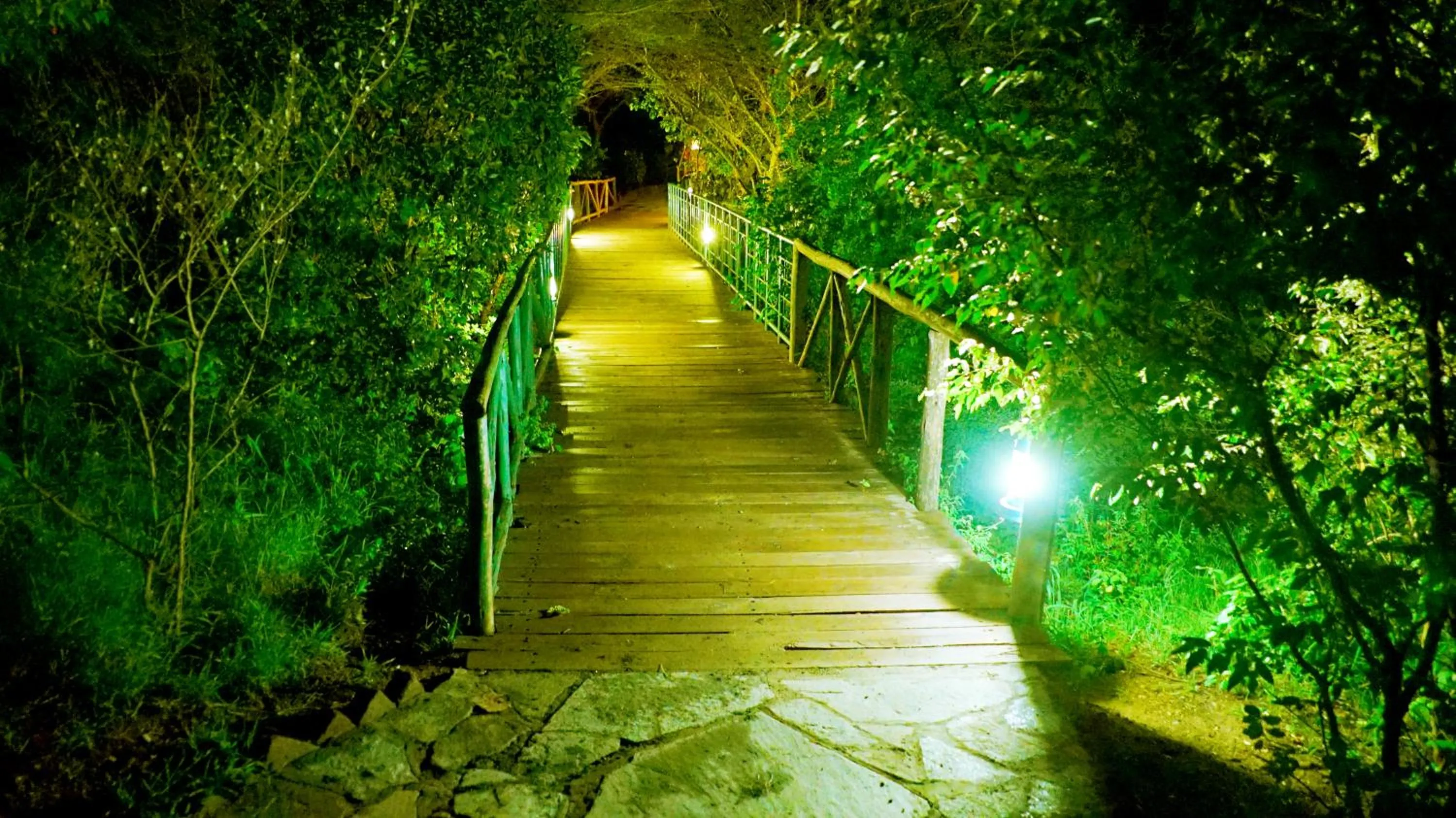 Natural landscape in PrideInn Mara Camp & Cottages