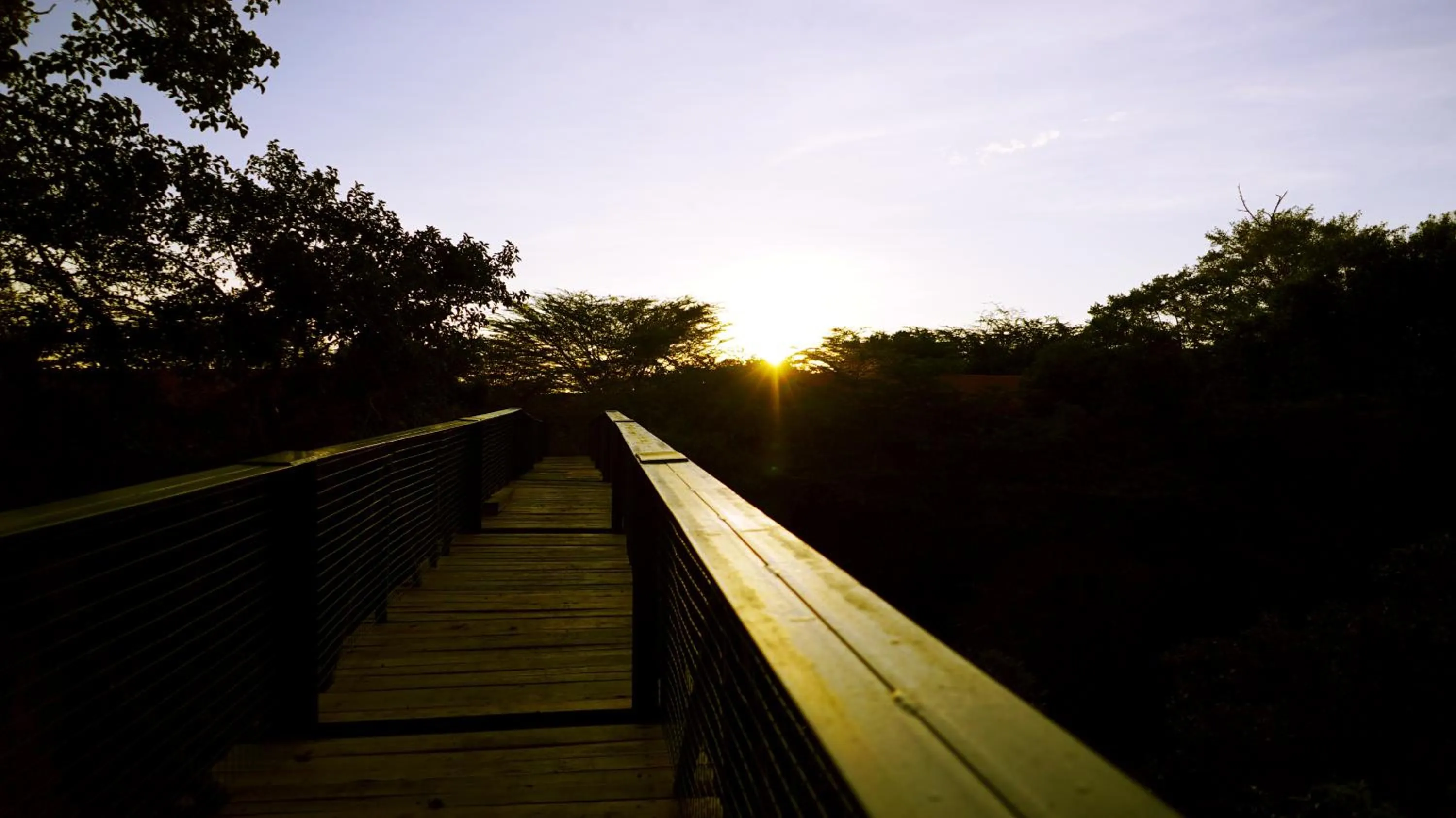 Sunrise in PrideInn Mara Camp & Cottages