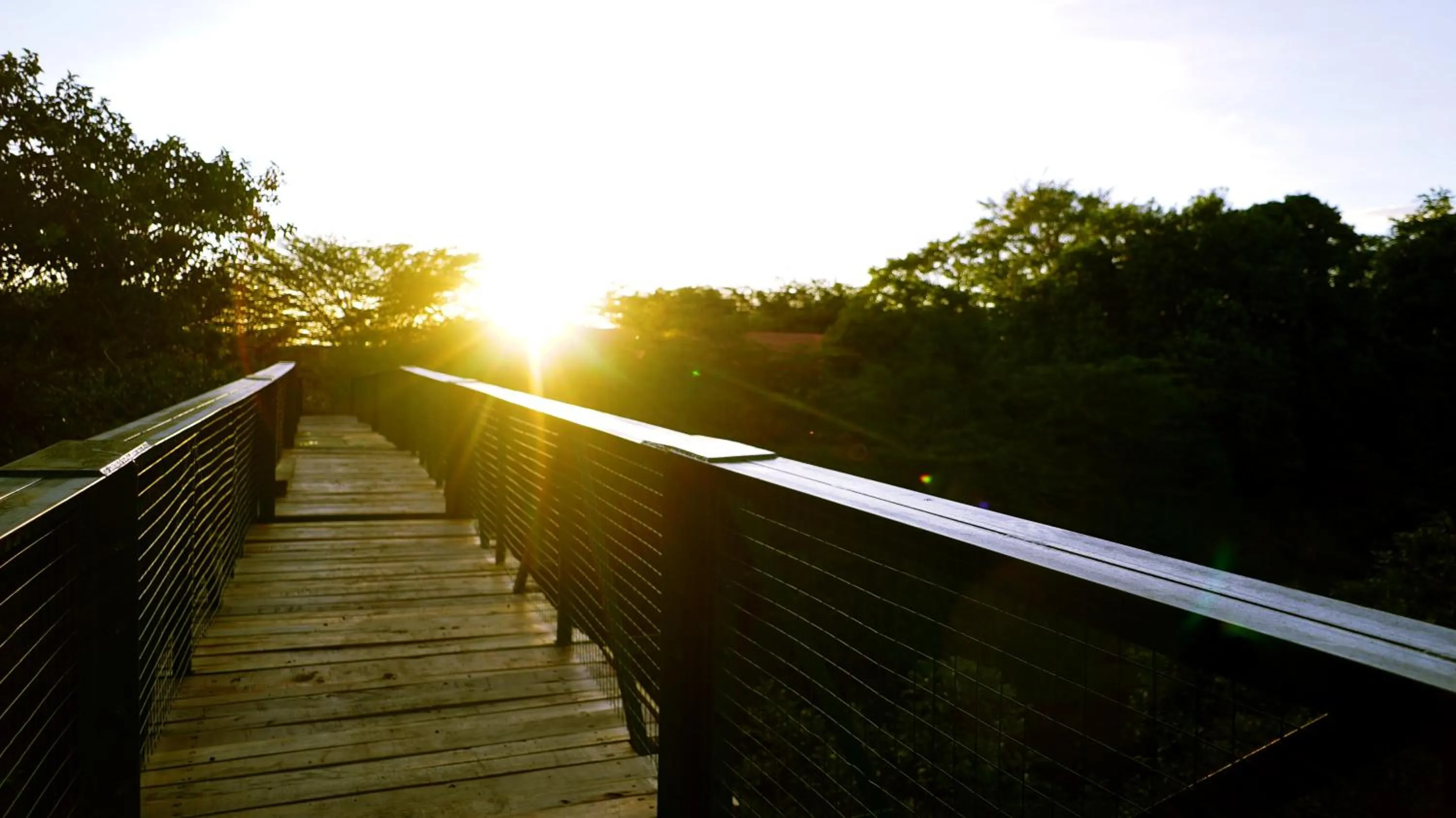 Sunrise in PrideInn Mara Camp & Cottages