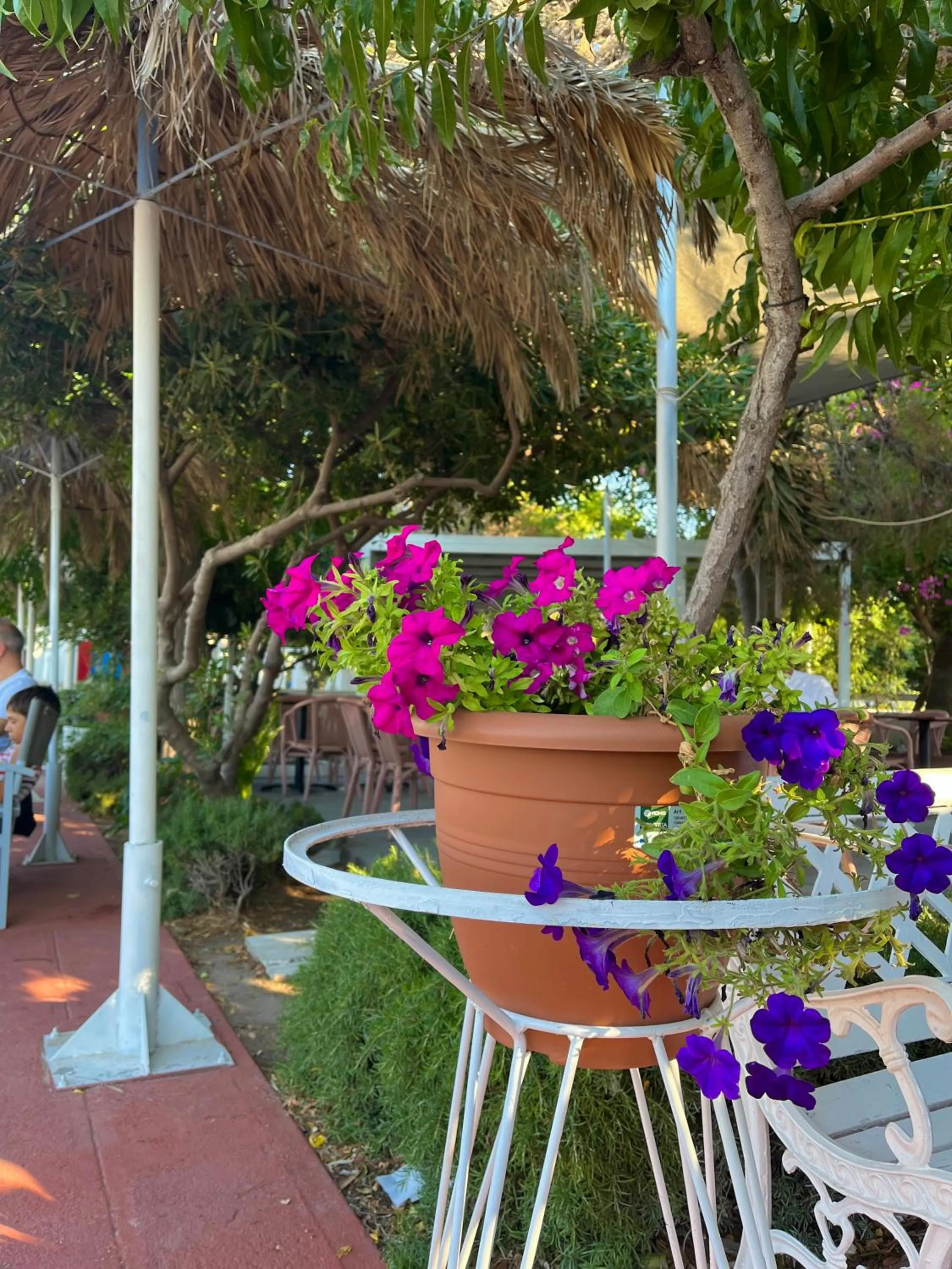 Restaurant/places to eat in Theodorou Beach Hotel Apartments