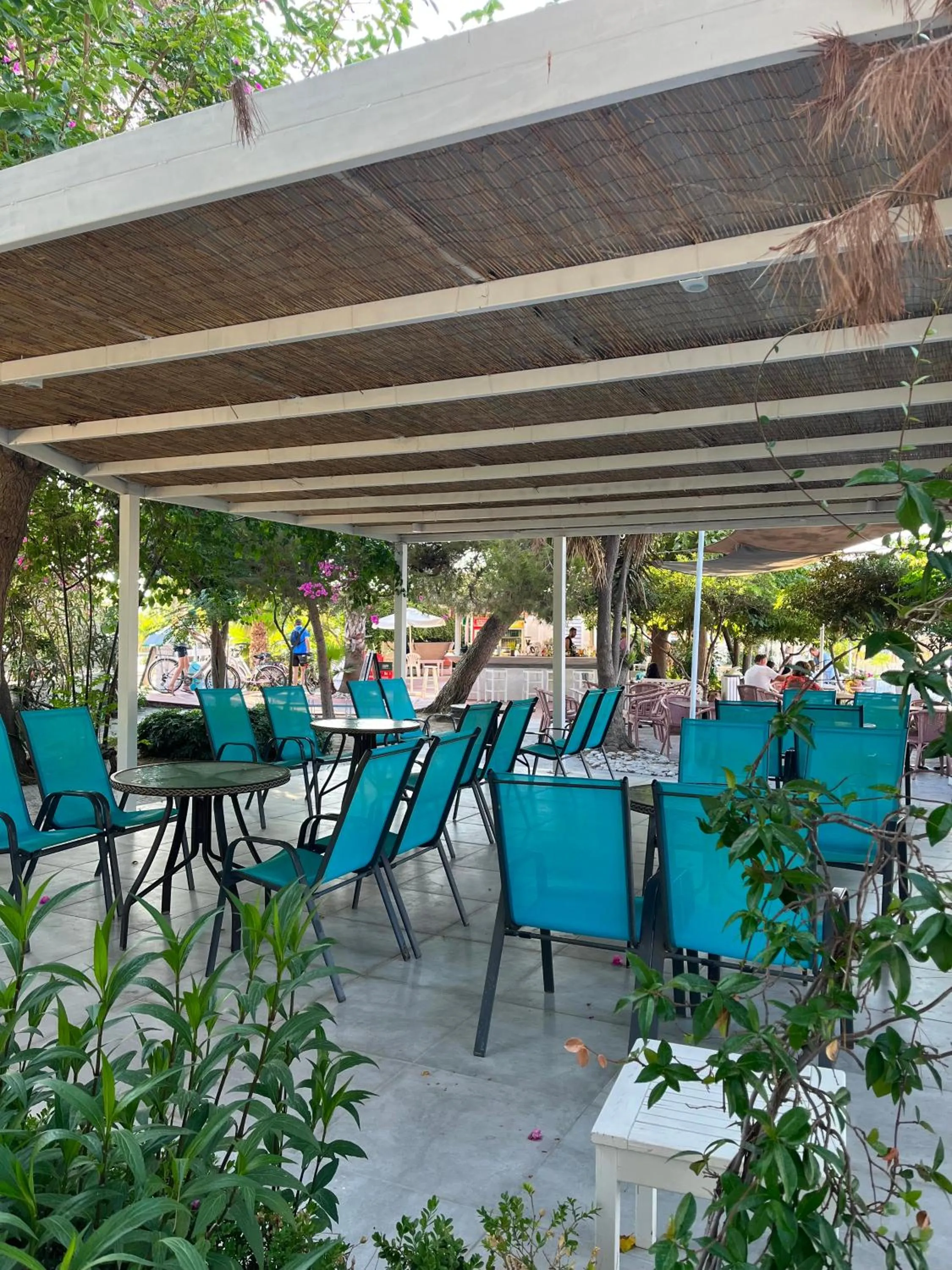 Restaurant/places to eat in Theodorou Beach Hotel Apartments