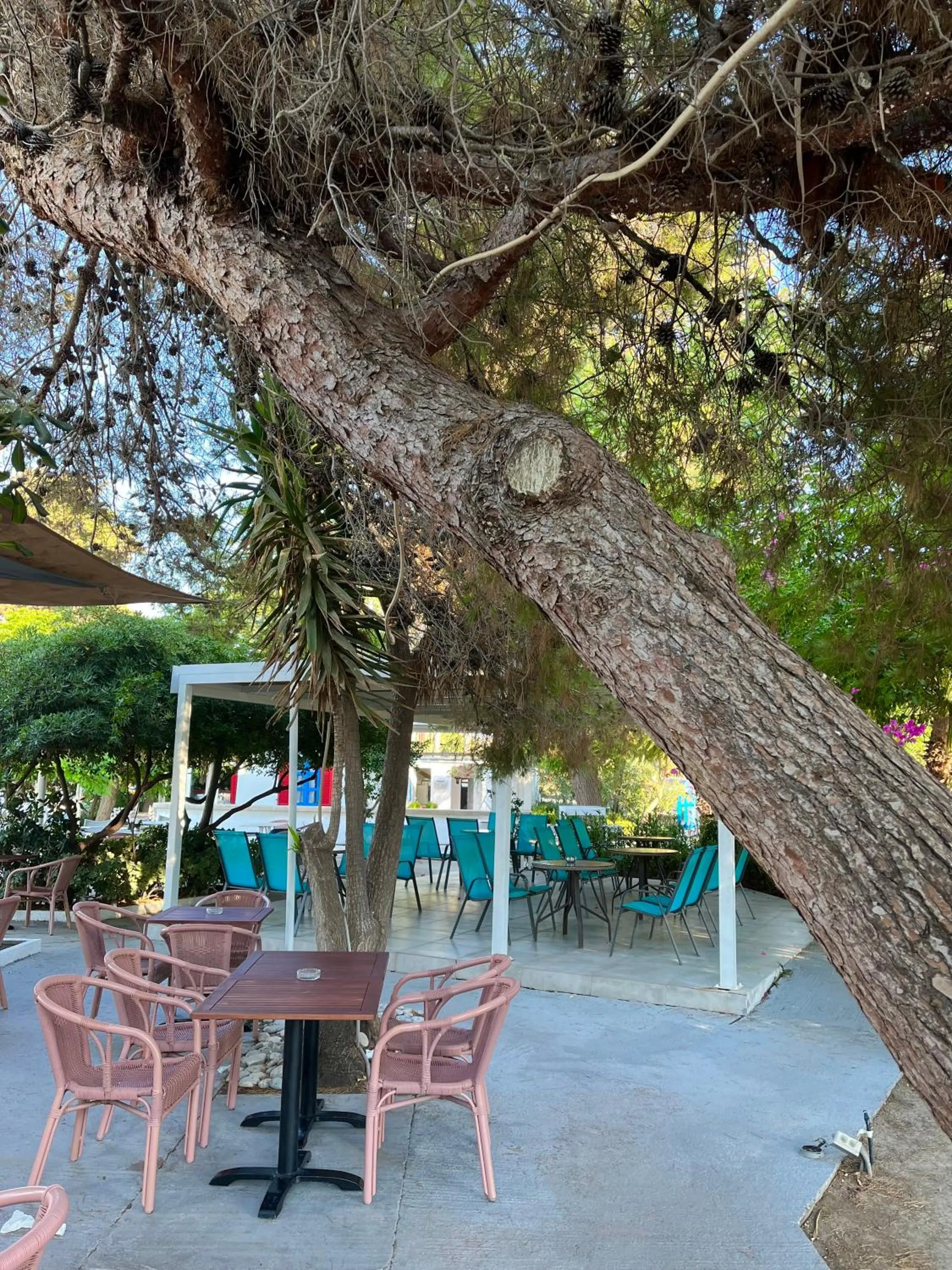 Restaurant/places to eat in Theodorou Beach Hotel Apartments