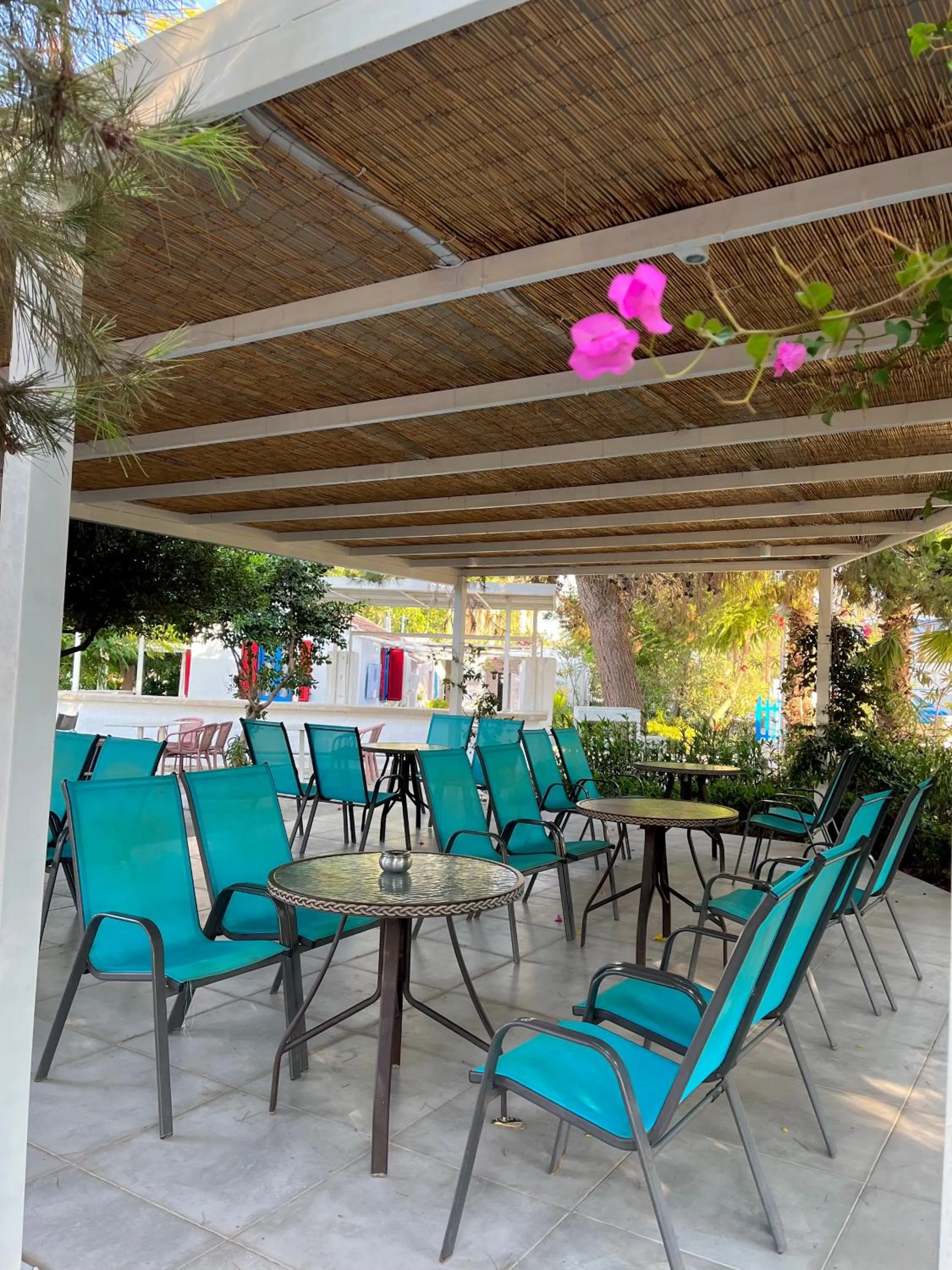 Restaurant/places to eat in Theodorou Beach Hotel Apartments