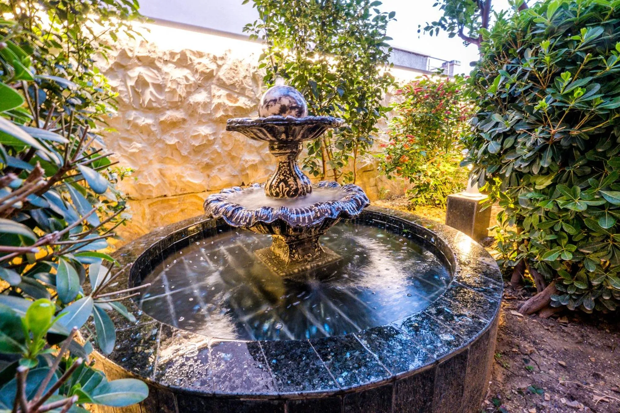 Area and facilities in Villa Sunset