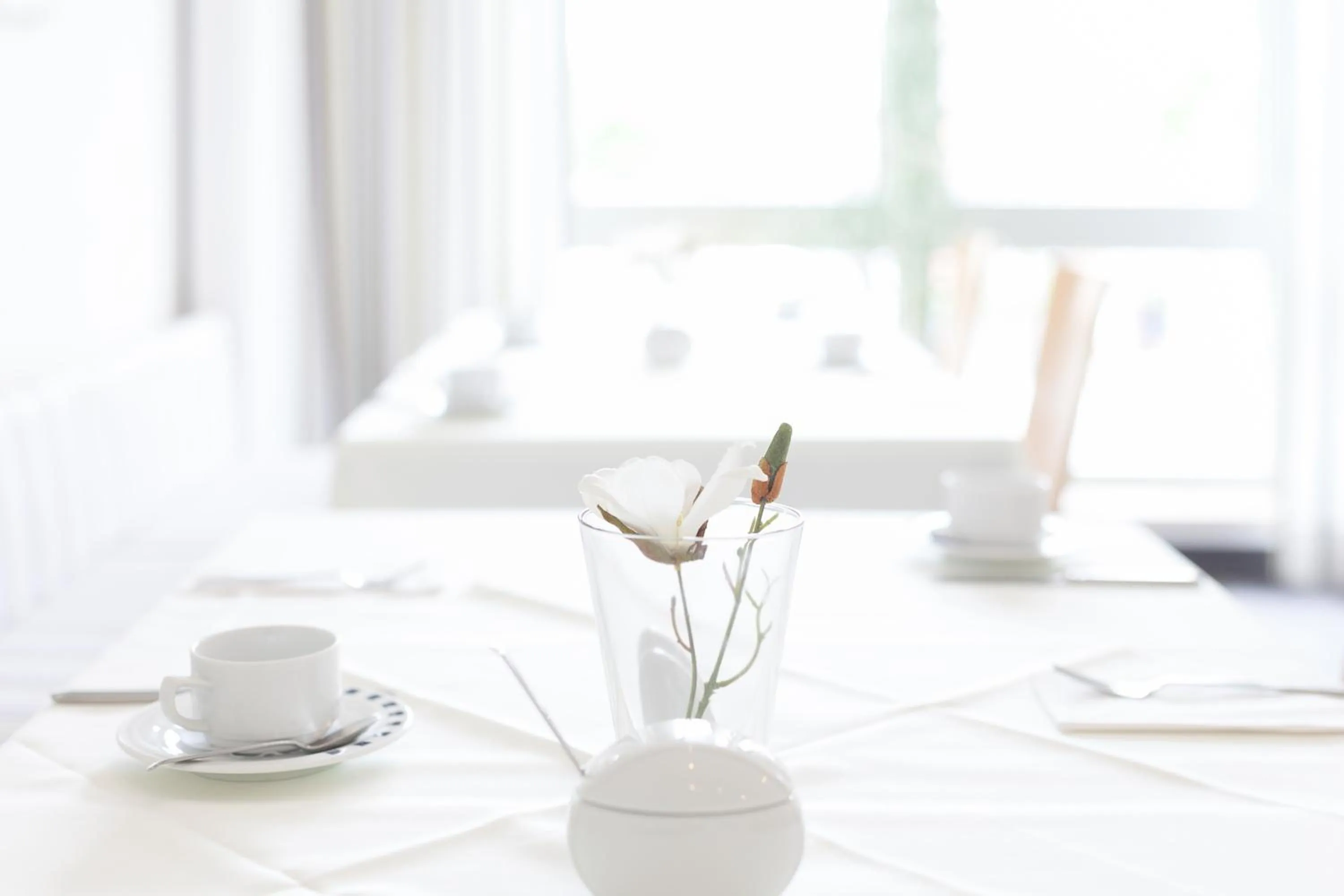 Dining area in Hotel Ambiente