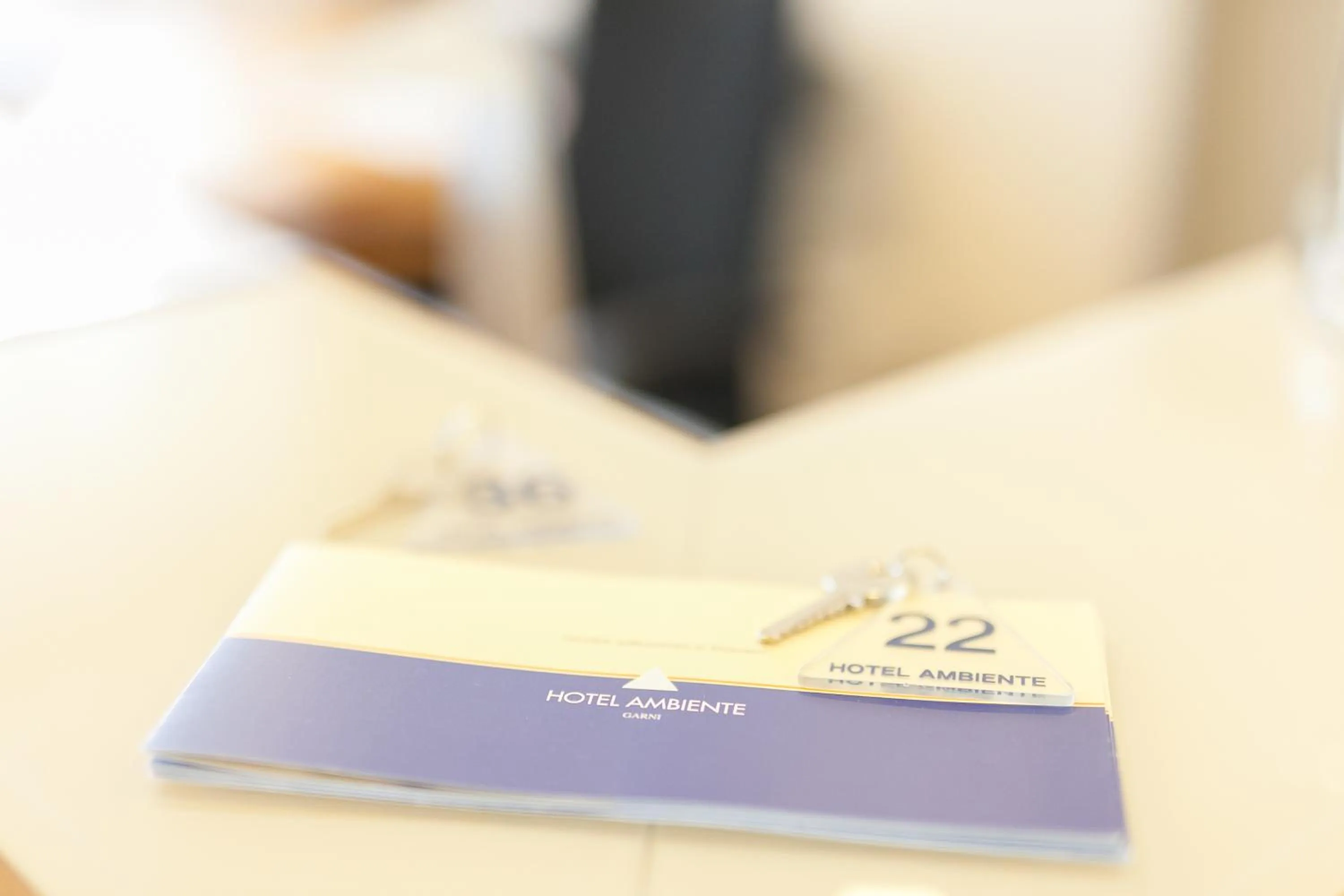 Lobby or reception in Hotel Ambiente