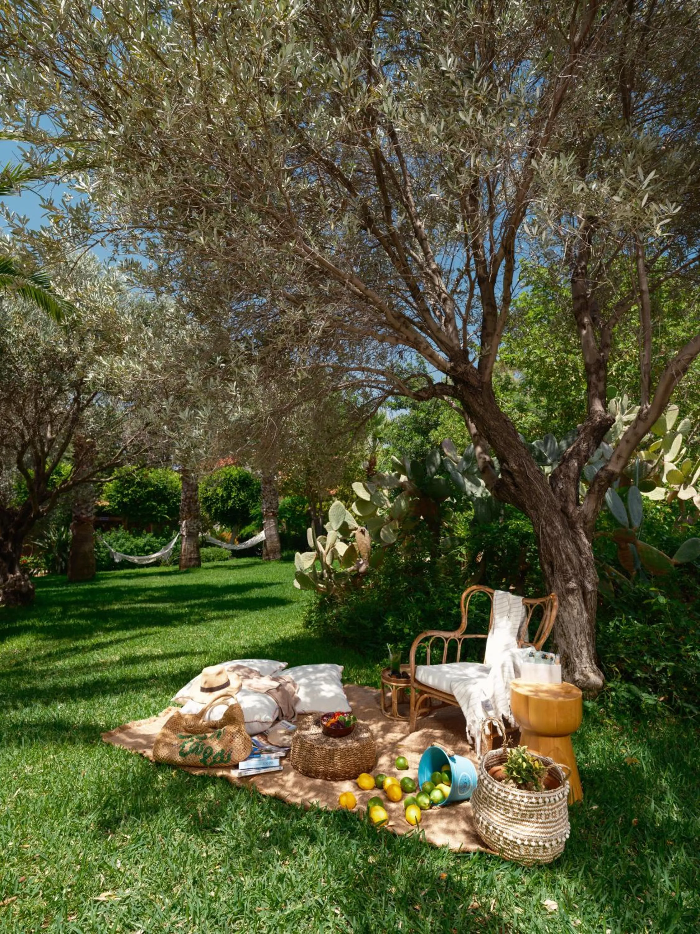 Balcony/Terrace in Flow Datca Surf & Beach Hotel