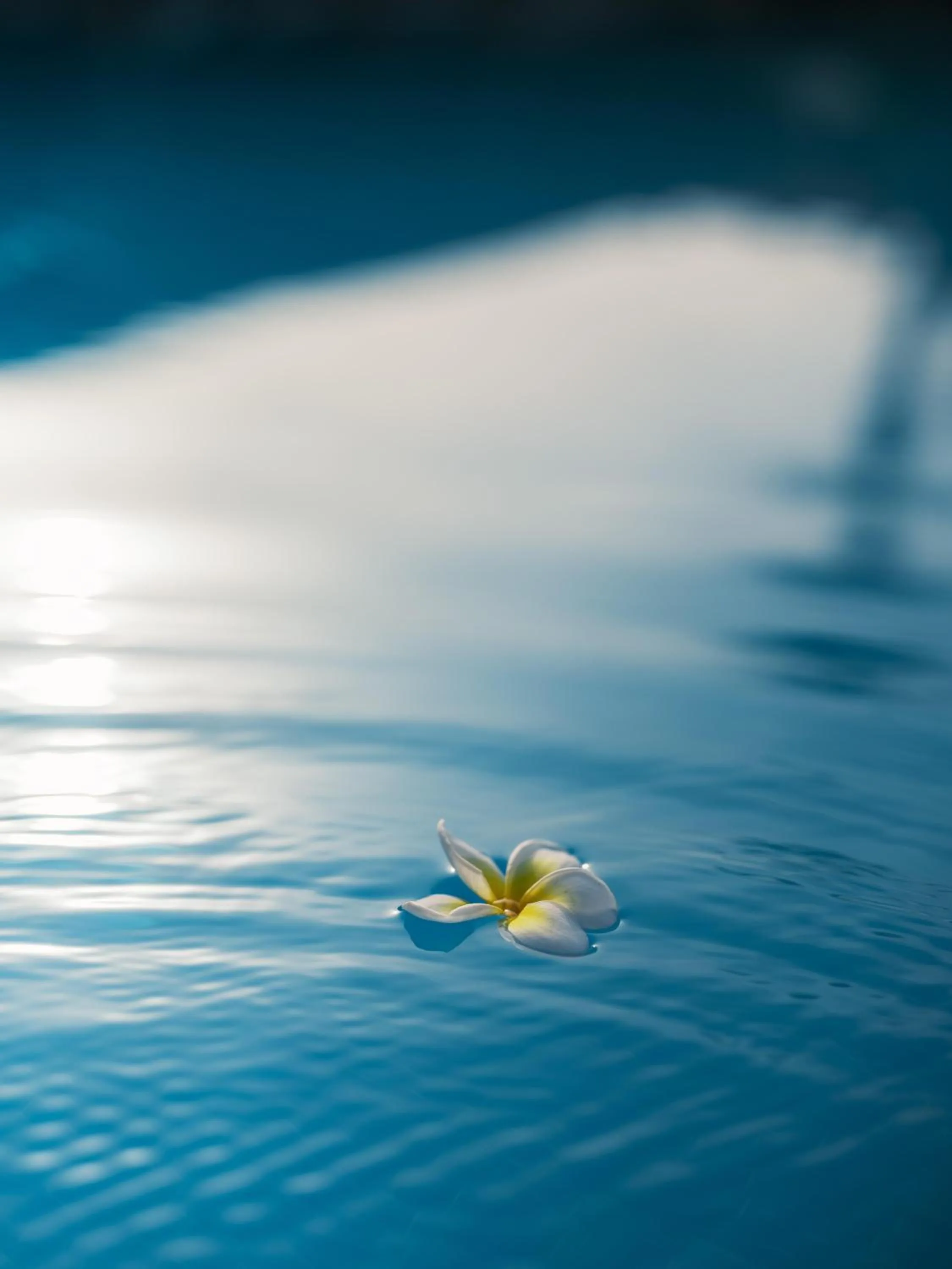 Natural landscape in Flow Datca Surf & Beach Hotel