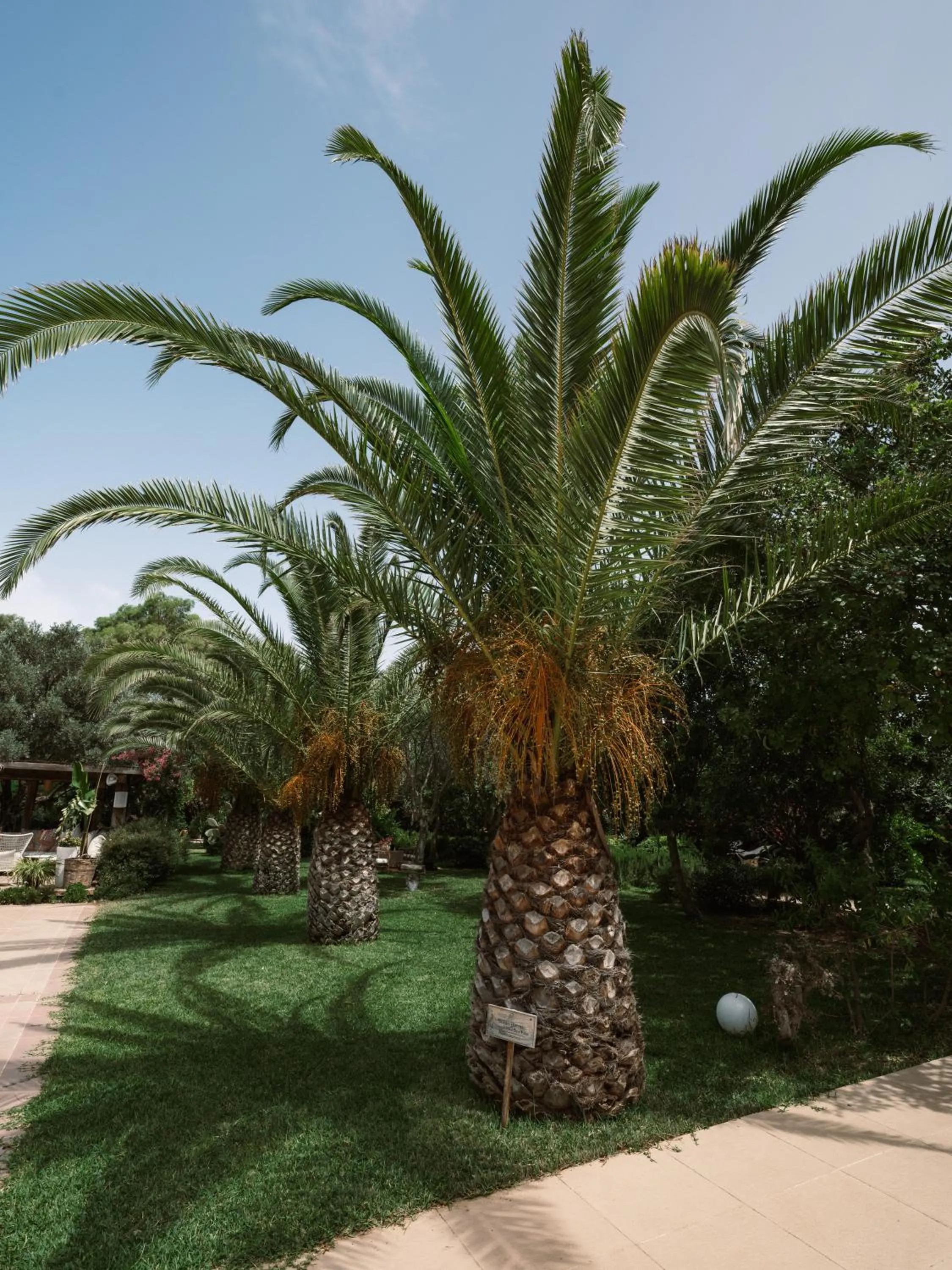 Garden in Flow Datca Surf & Beach Hotel