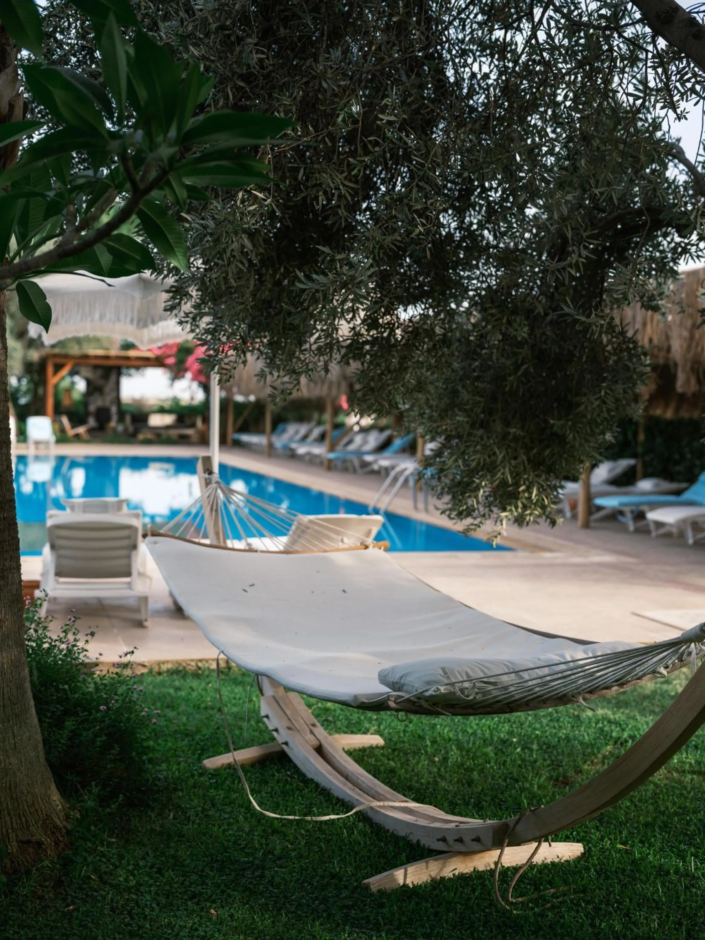 Swimming pool in Flow Datca Surf & Beach Hotel