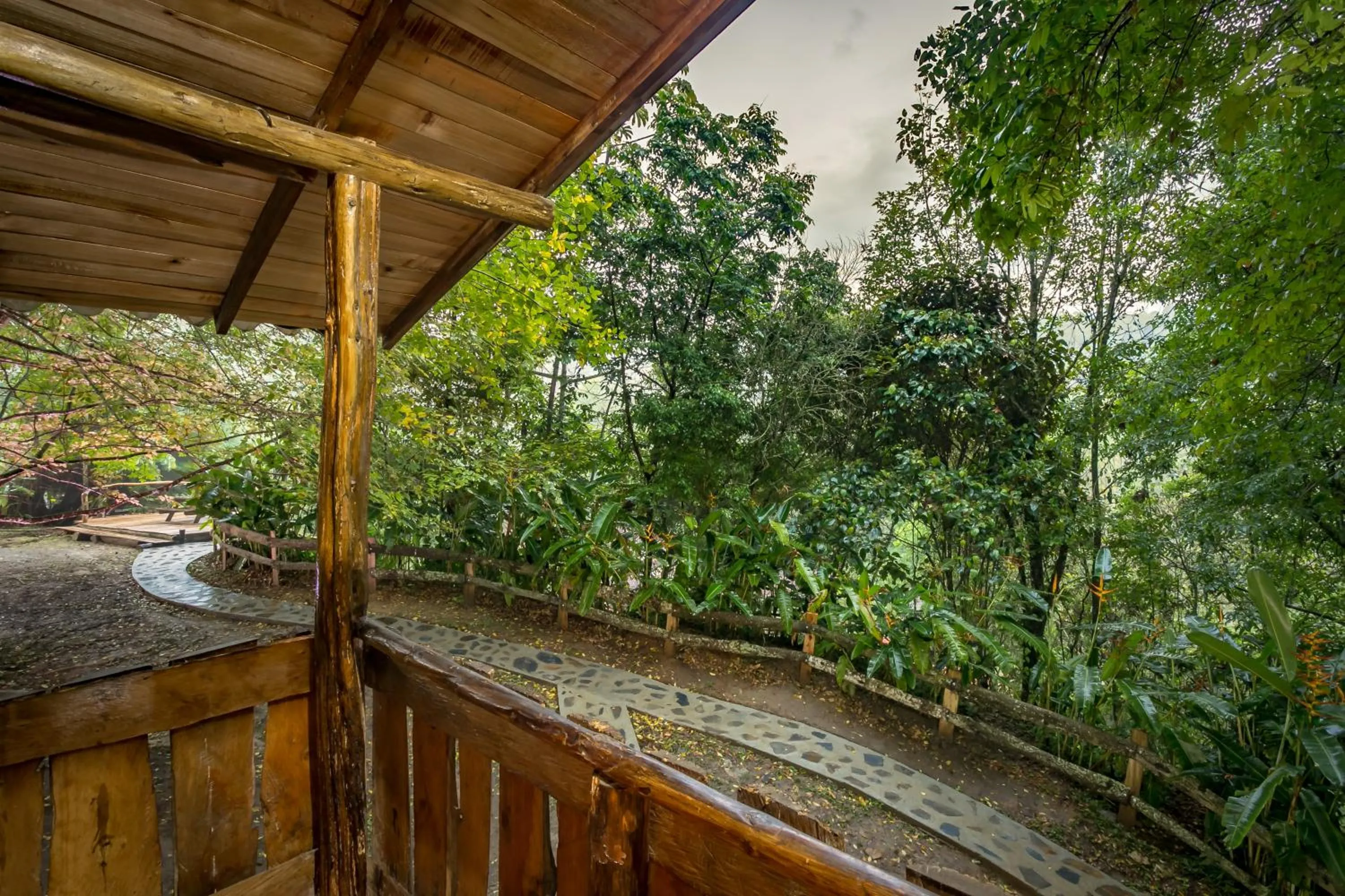 Mountain view in Ecohotel Piedemonte