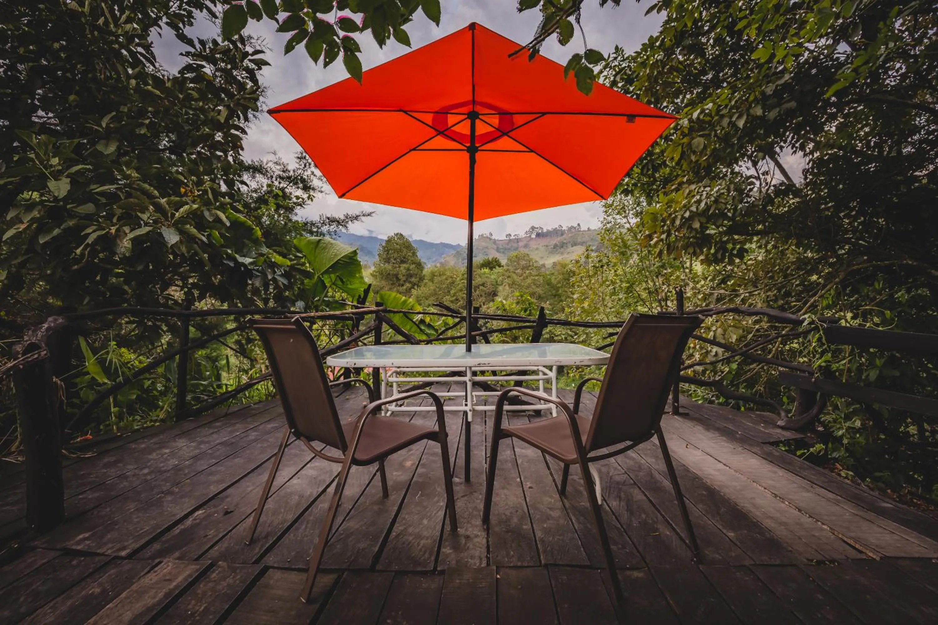 Mountain view in Ecohotel Piedemonte