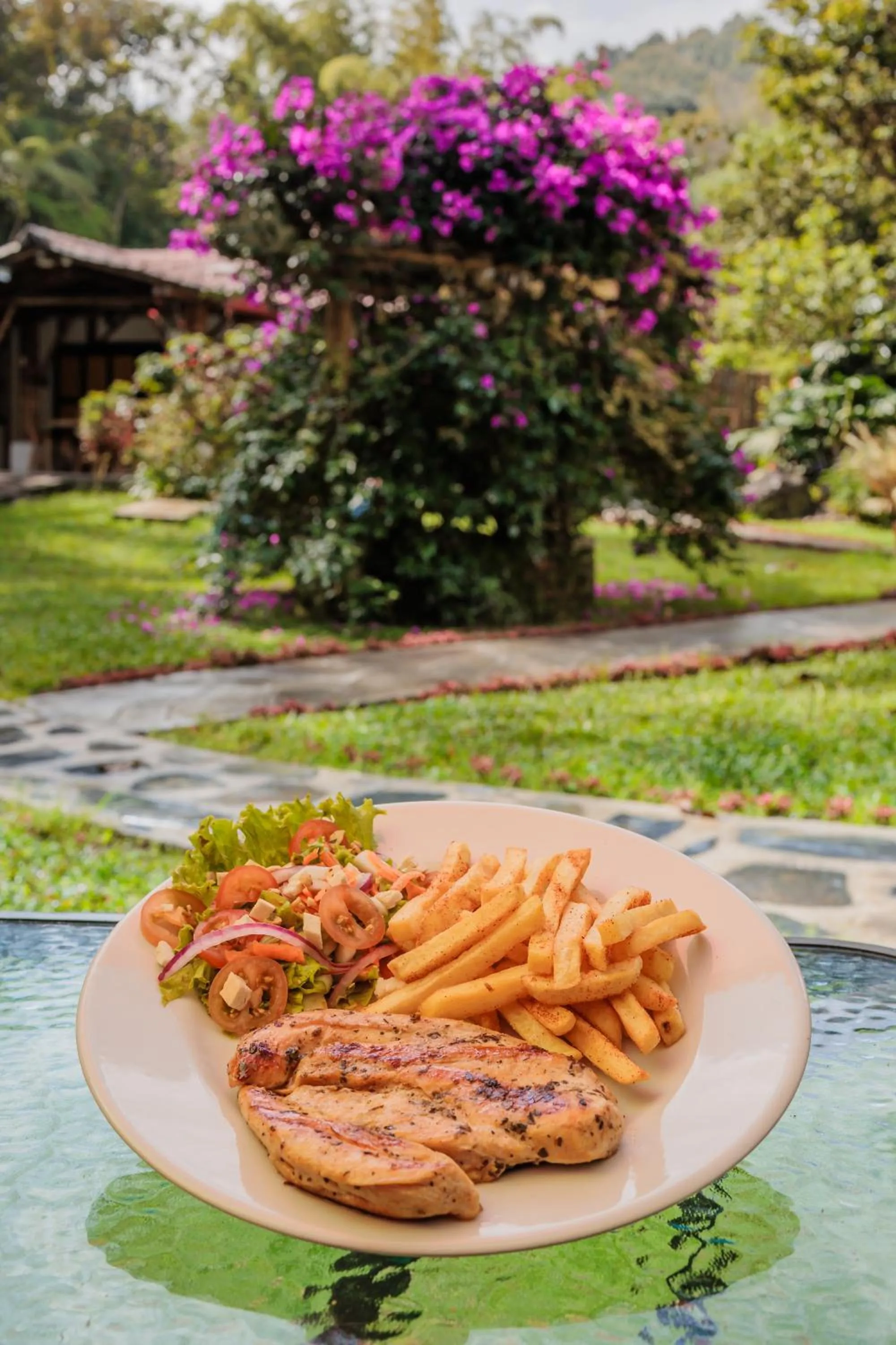 Restaurant/places to eat in Ecohotel Piedemonte