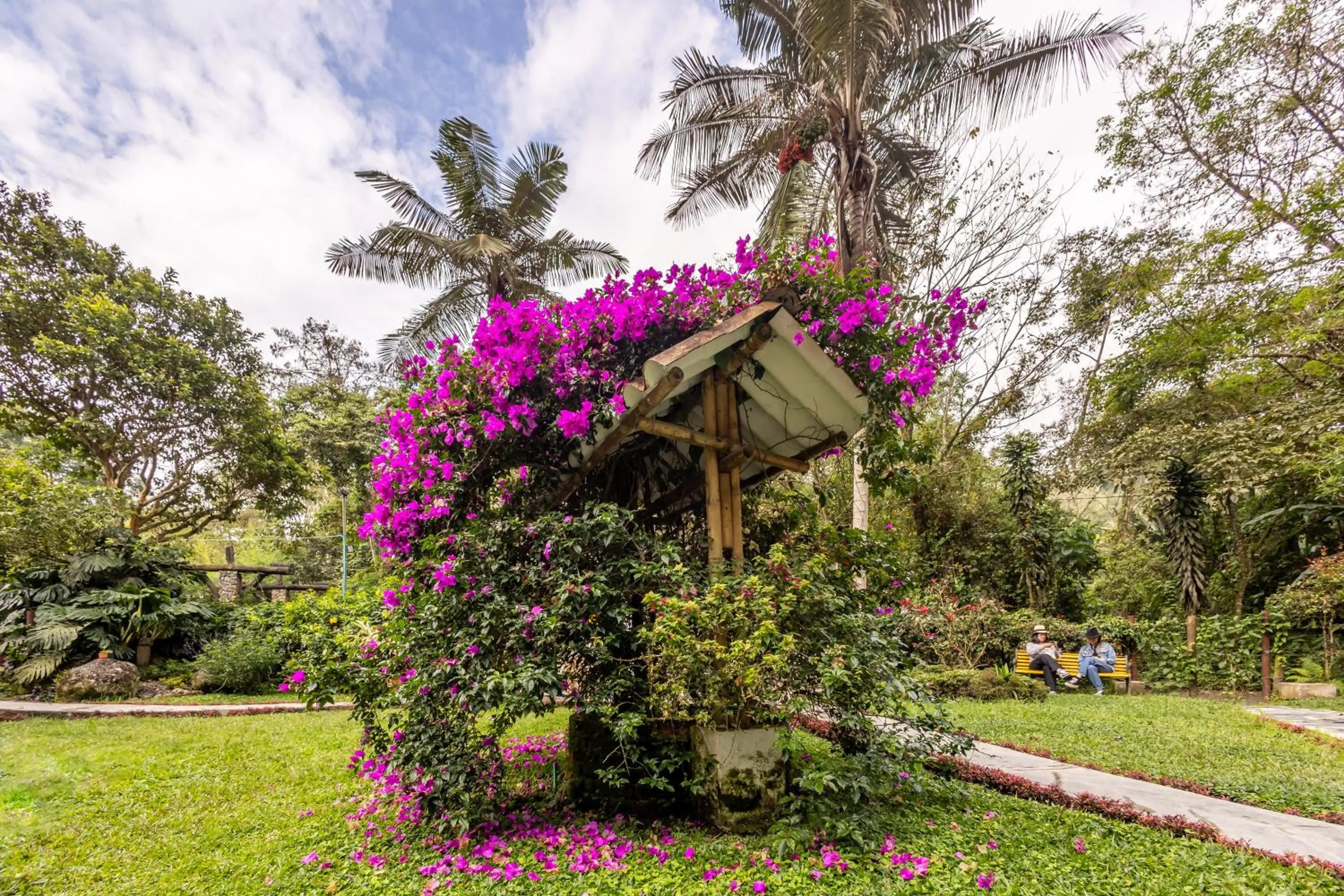 Off site in Ecohotel Piedemonte