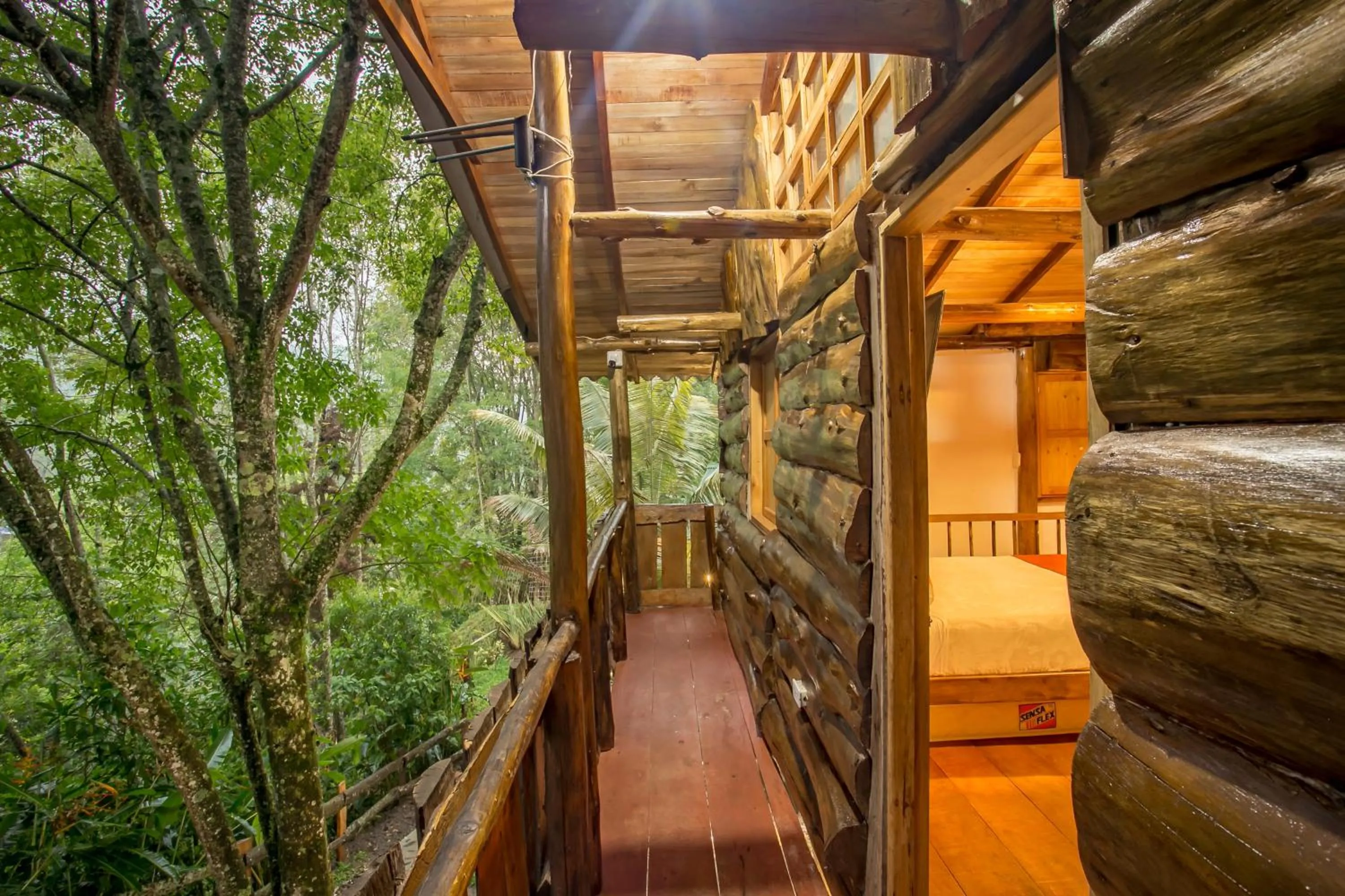 Mountain view in Ecohotel Piedemonte