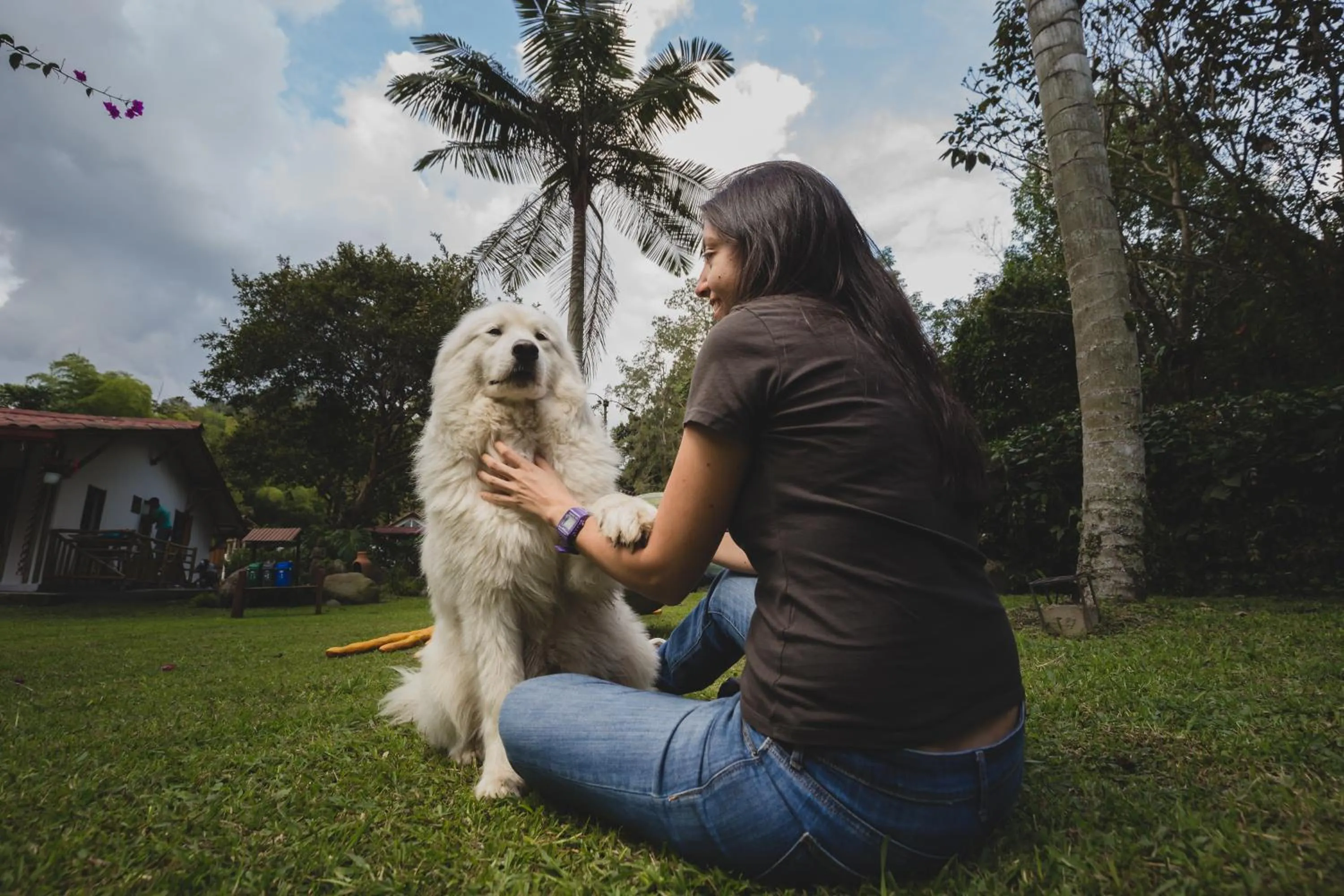Pets in Ecohotel Piedemonte