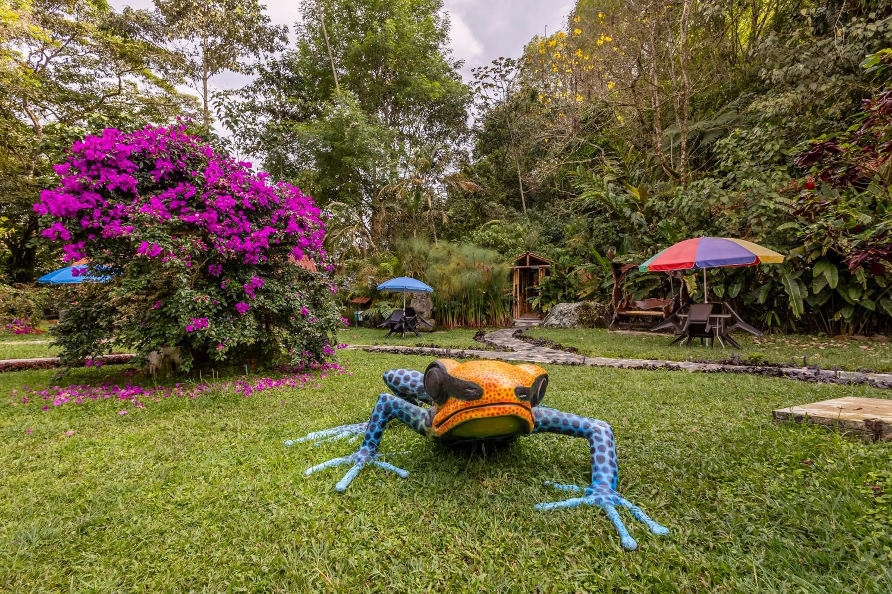 Off site in Ecohotel Piedemonte