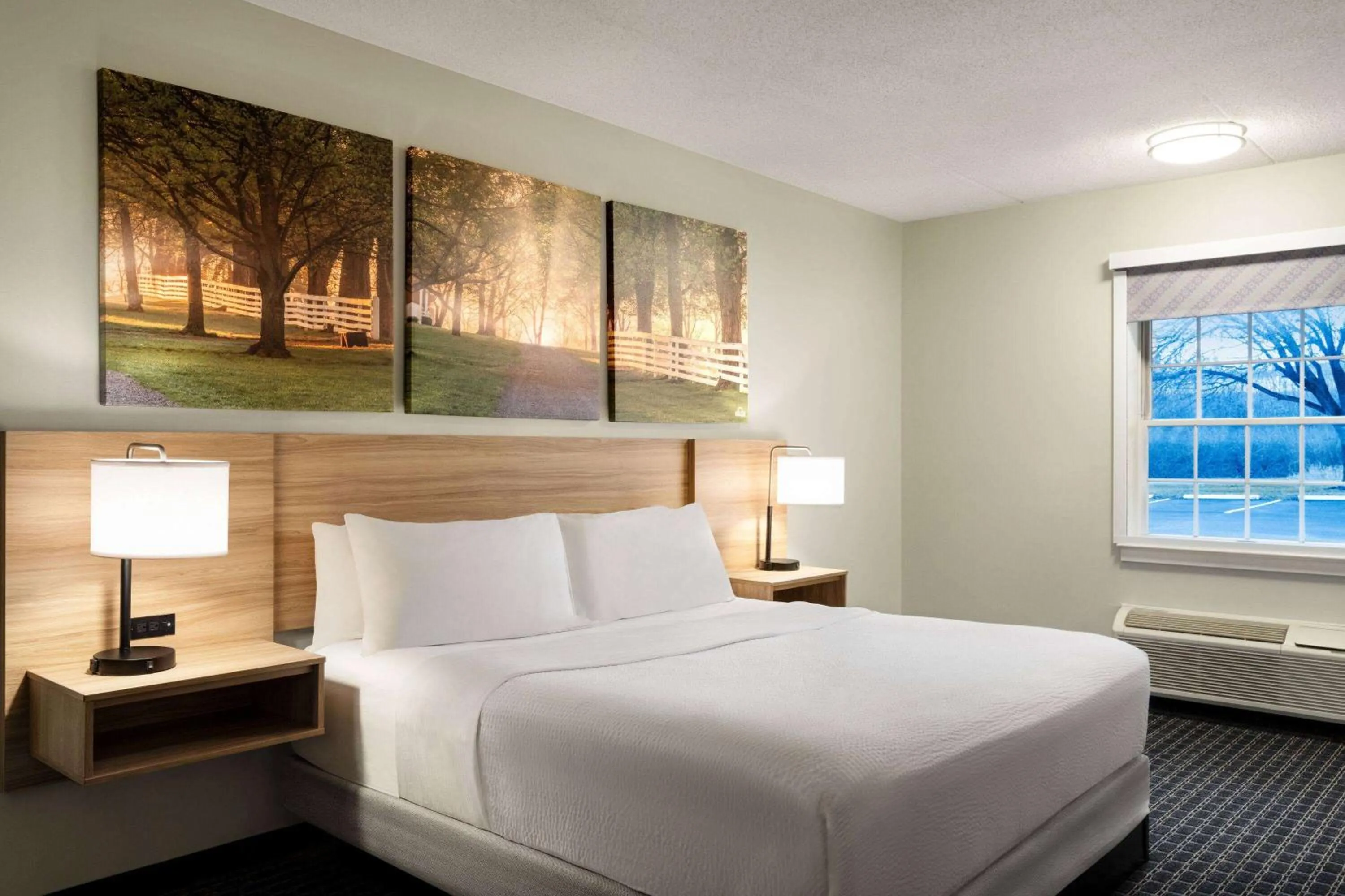 Photo of the whole room, Bed in Days Inn & Suites by Wyndham Lancaster Amish Country