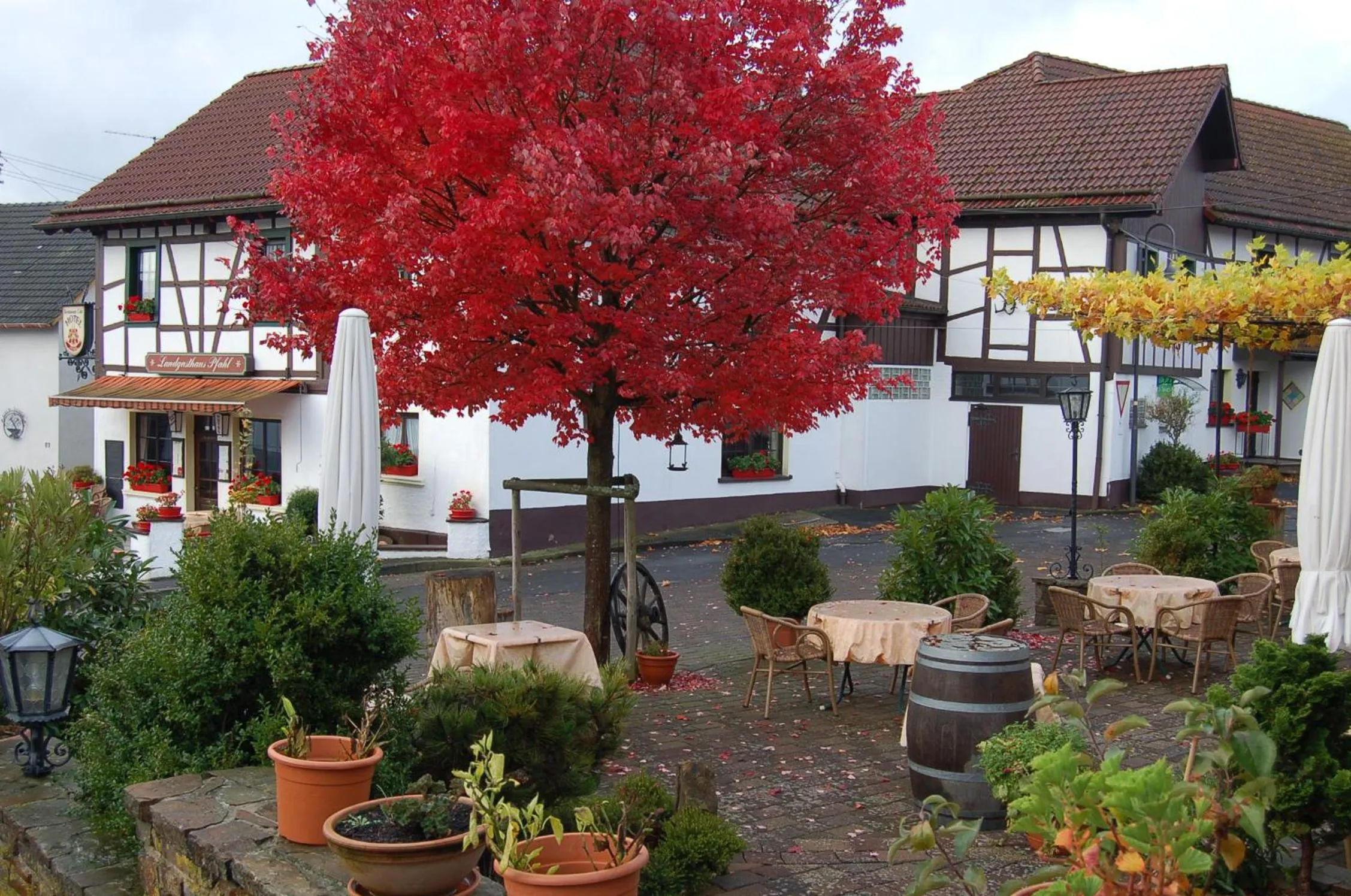 Garden in Landgasthaus Pfahl
