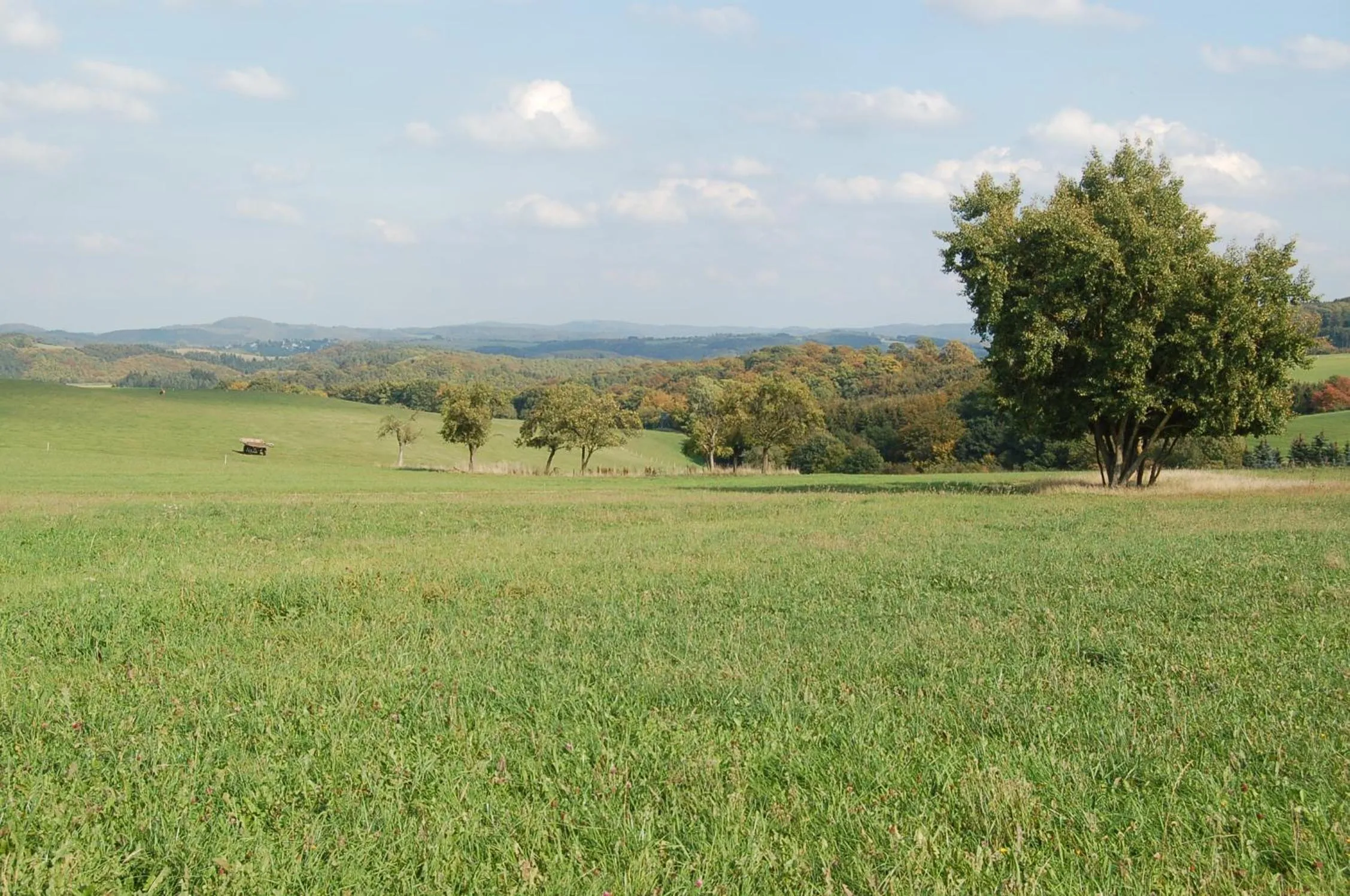 Natural landscape in Landgasthaus Pfahl