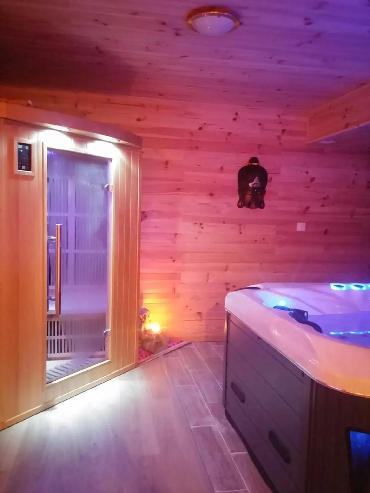 Studio with Mountain View in AUBRAC Spa Studio with Mountain View in AUBRAC Spa